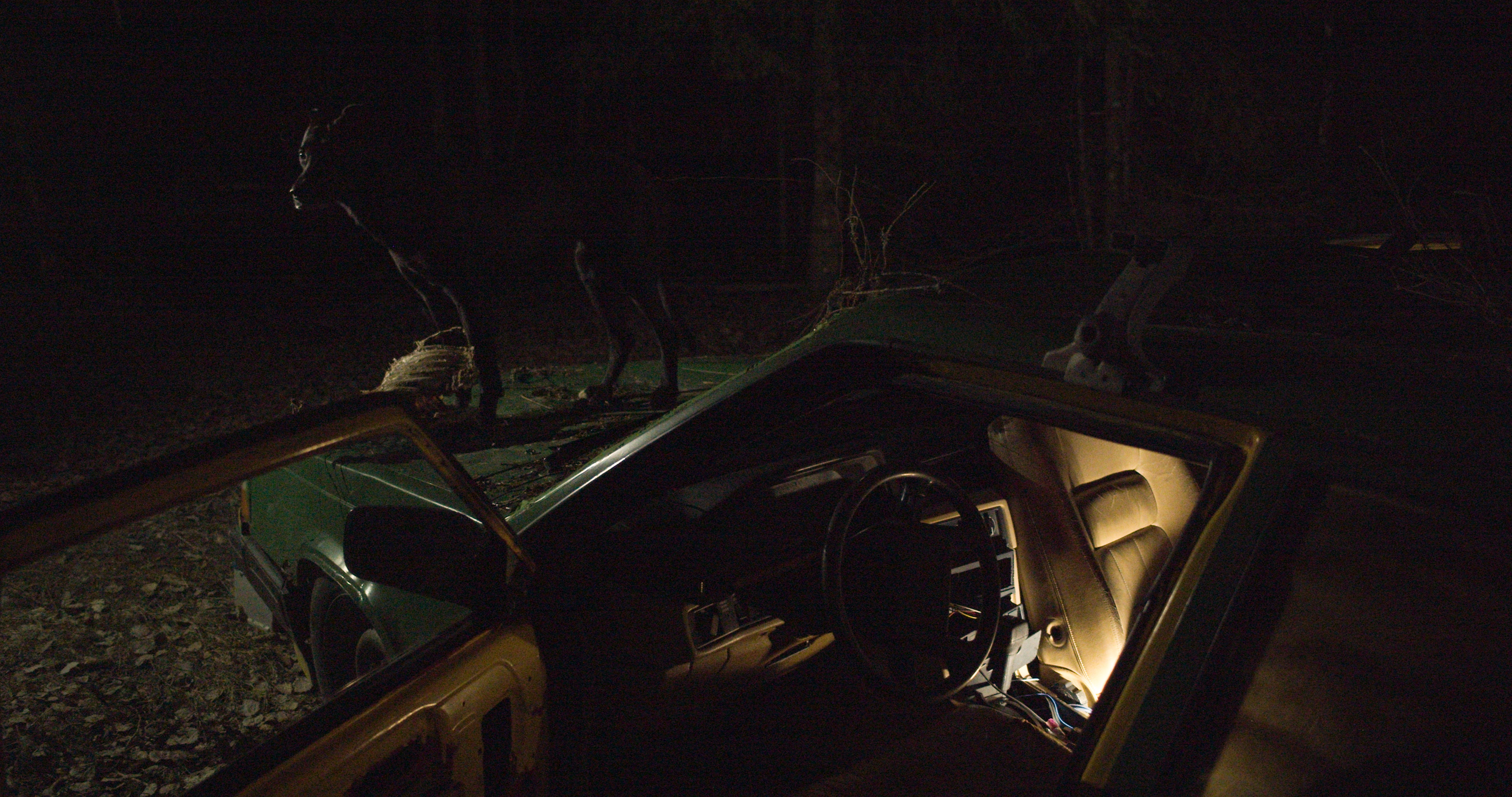 Max Göran, Nothing Runs Like Deere, 2023