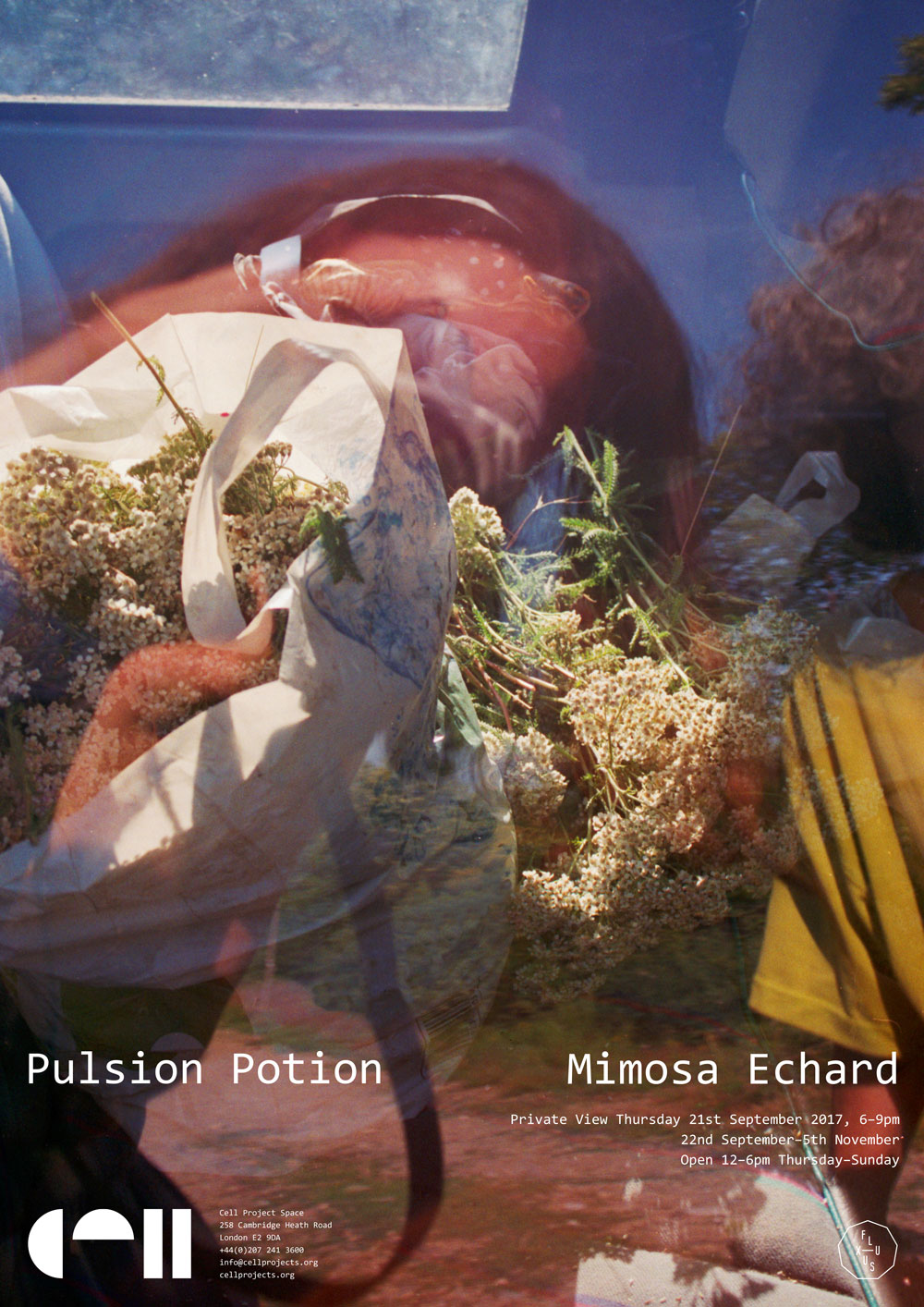 Pulsion Potion, Mimosa Echard