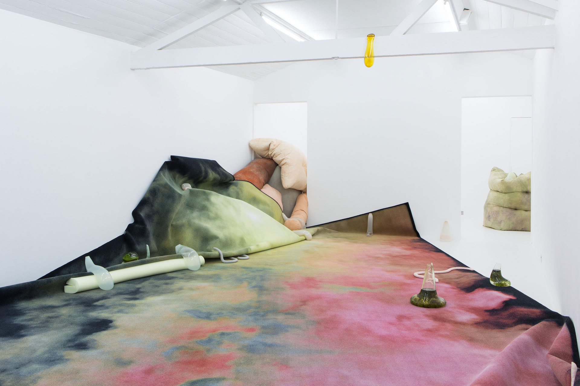 Julia Crabtree & William Evans, Gullet, 2017, Installation View, Cell Project Space Julia Crabtree & William Evans, Gullet, 2017, Installation View, Cell Project Space