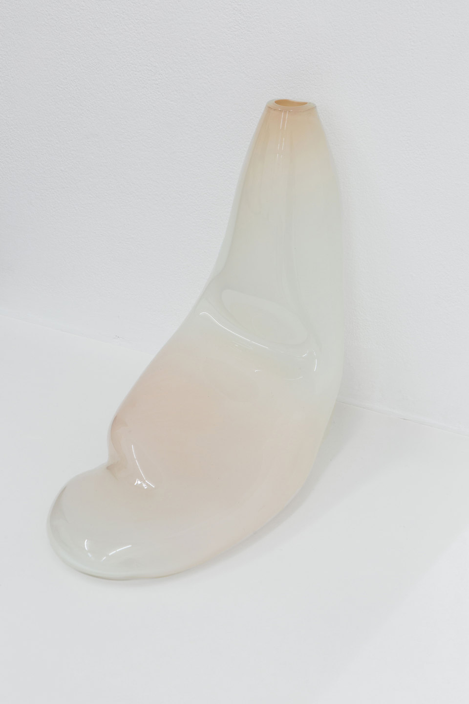 Julia Crabtree & William Evans, Fungi, 2017 (Detail), Cell Project Space Julia Crabtree & William Evans, Fungi, 2017 (Detail), Cell Project Space