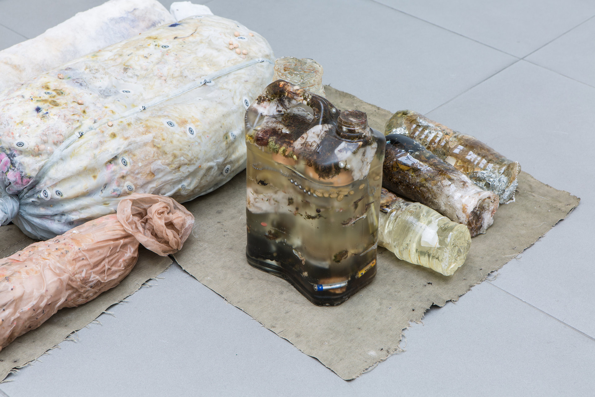 Mimosa Echard, Cushions & I Still Dream Of Orgonon, 2017 (detail), Cell Project Space
