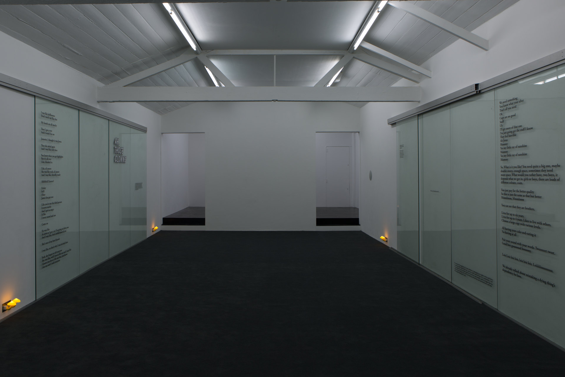 Ghislaine Leung, The Moves, Installation View, 2017, Cell Project Space