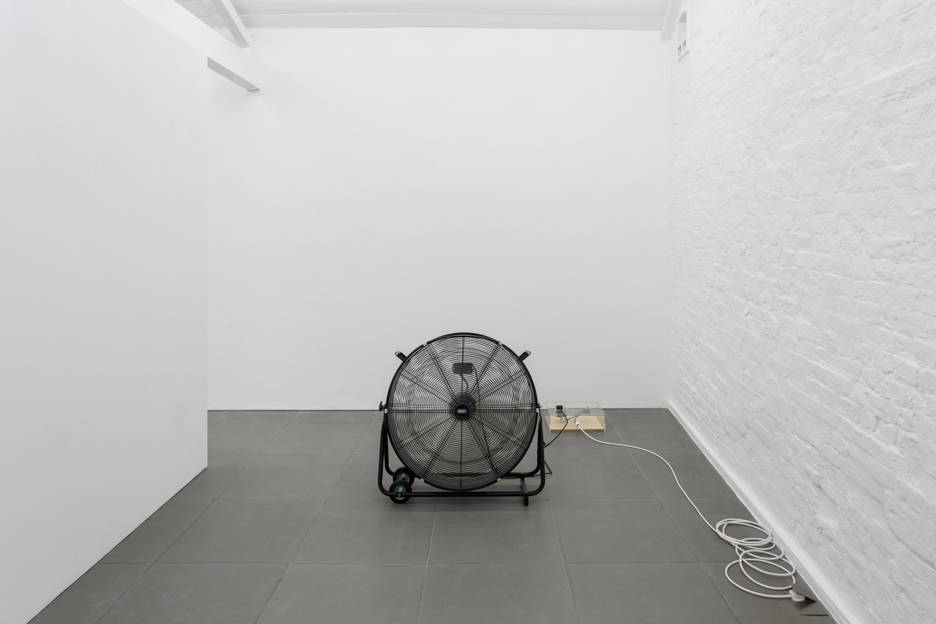 Patricia L. Boyd, 'Treatment', 2019, Cell Project Space