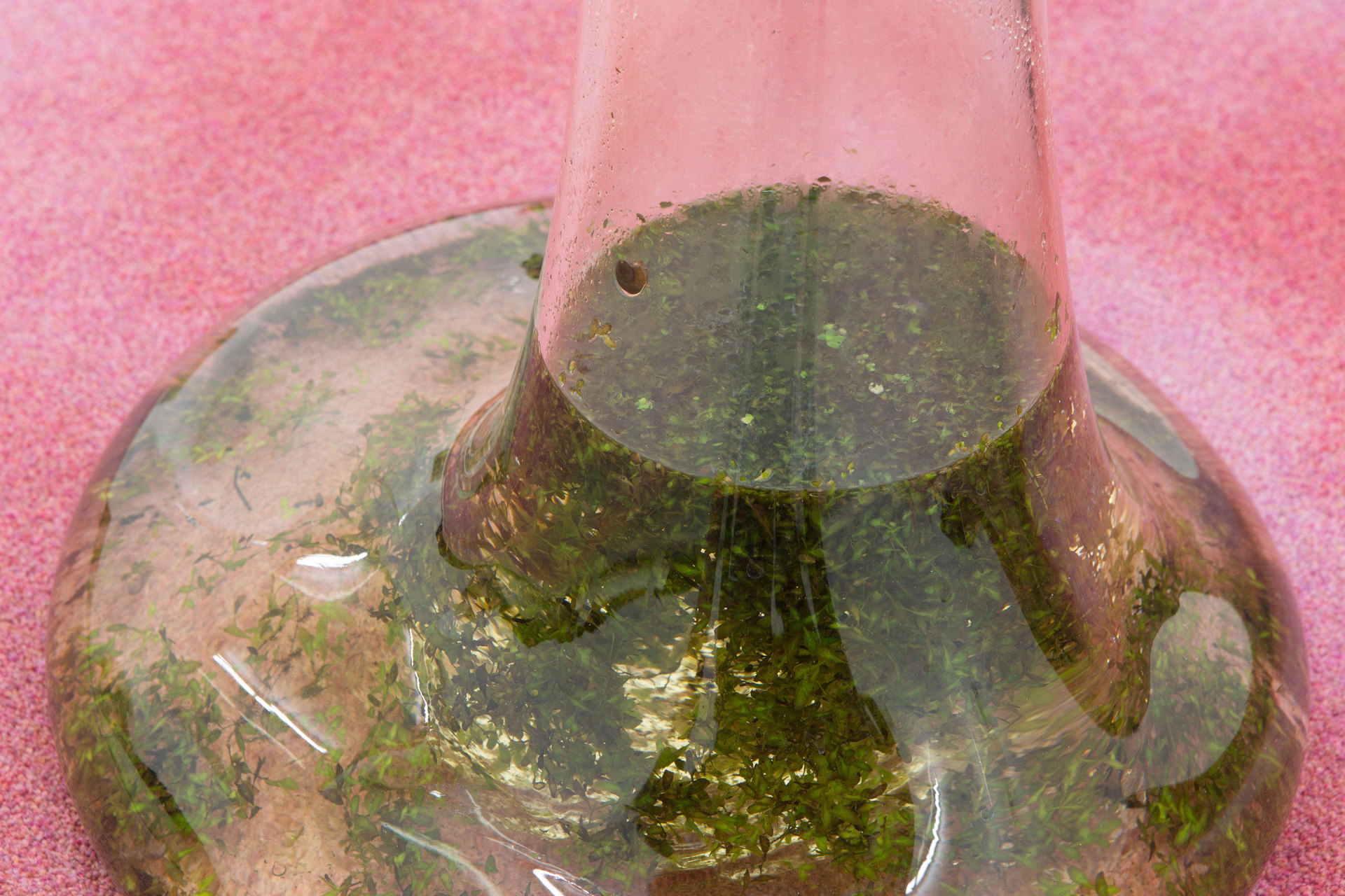 Julia Crabtree & William Evans, Vaseline (Detail), 2017, Cell Project Space Julia Crabtree & William Evans, Vaseline (Detail), 2017, Cell Project Space