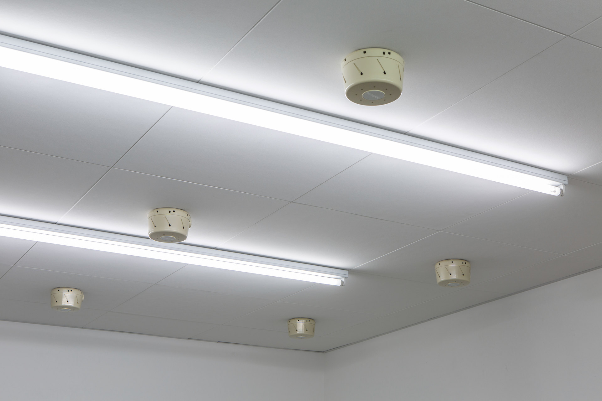 Carolyn Lazard, 'A Conspiracy', 2017, Dohm white noise machines, Dimensions variable, Civic Duty, 2019, Cell Project Space