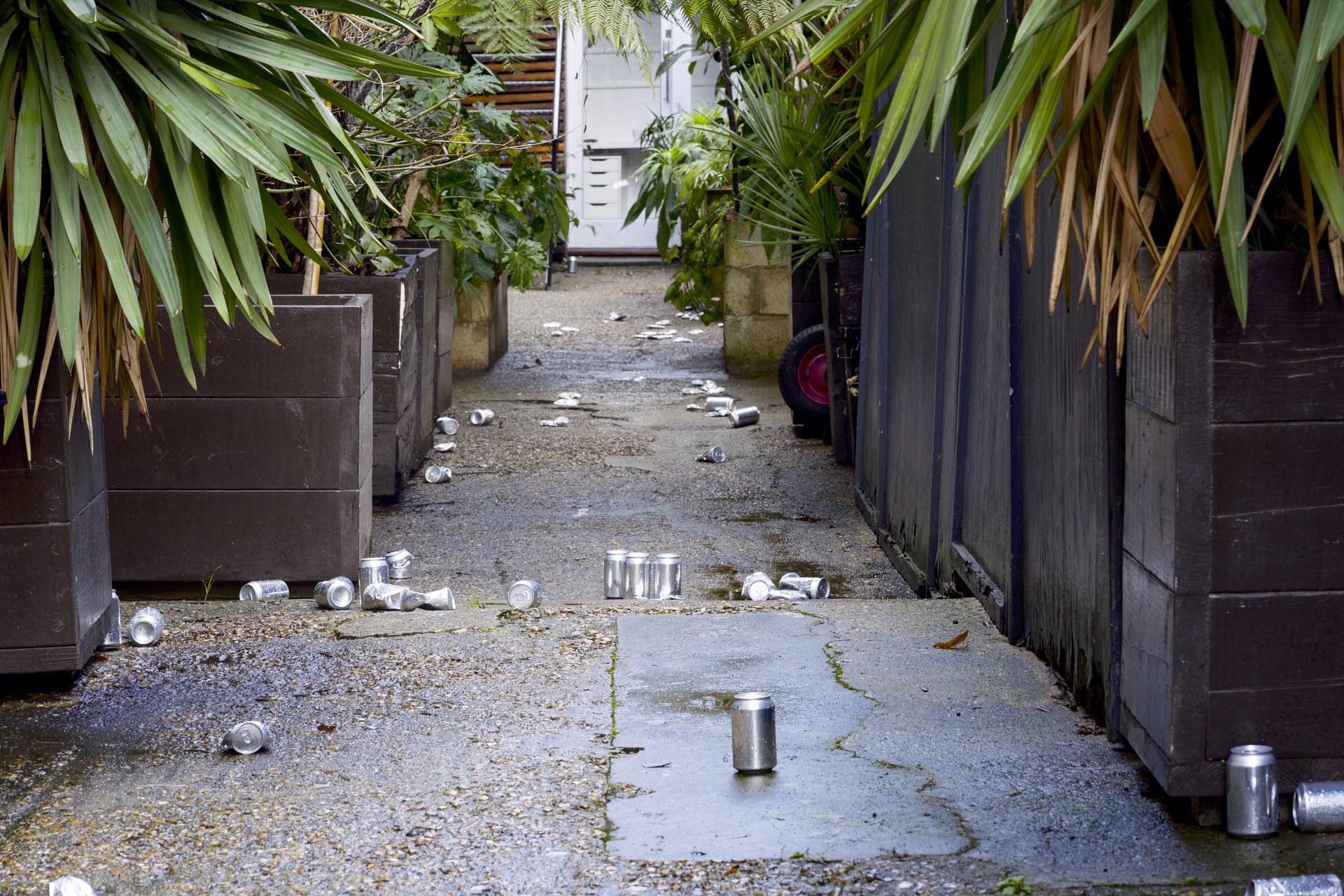 Elizabeth Wright, Exhibition view, Teatro Grottesco presents Elizabeth Wright at Cell Project Space, 2026