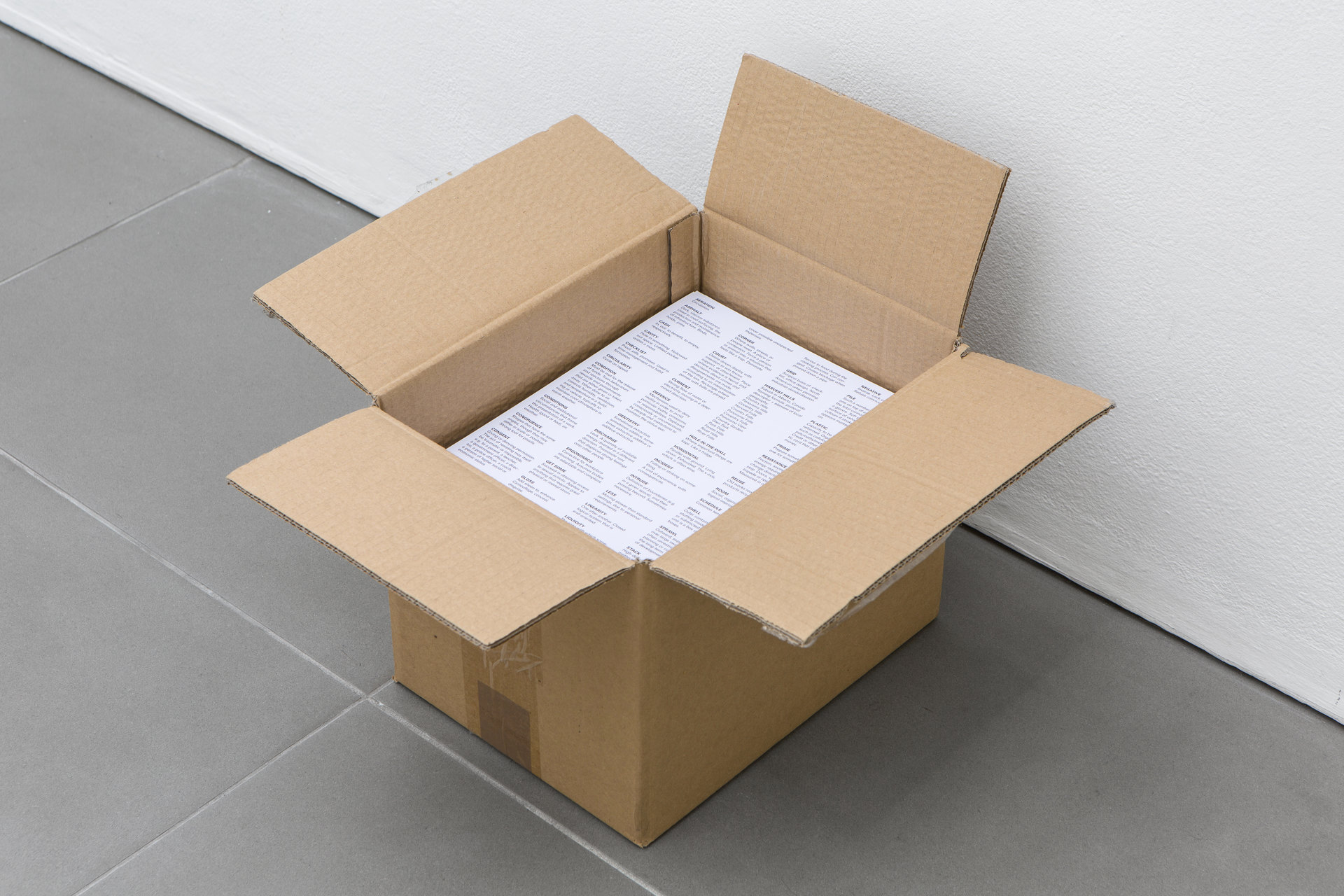 Rosa Aiello and Patricia L. Boyd, 'Terms', 2019, A4 laser prints, Cell Project Space