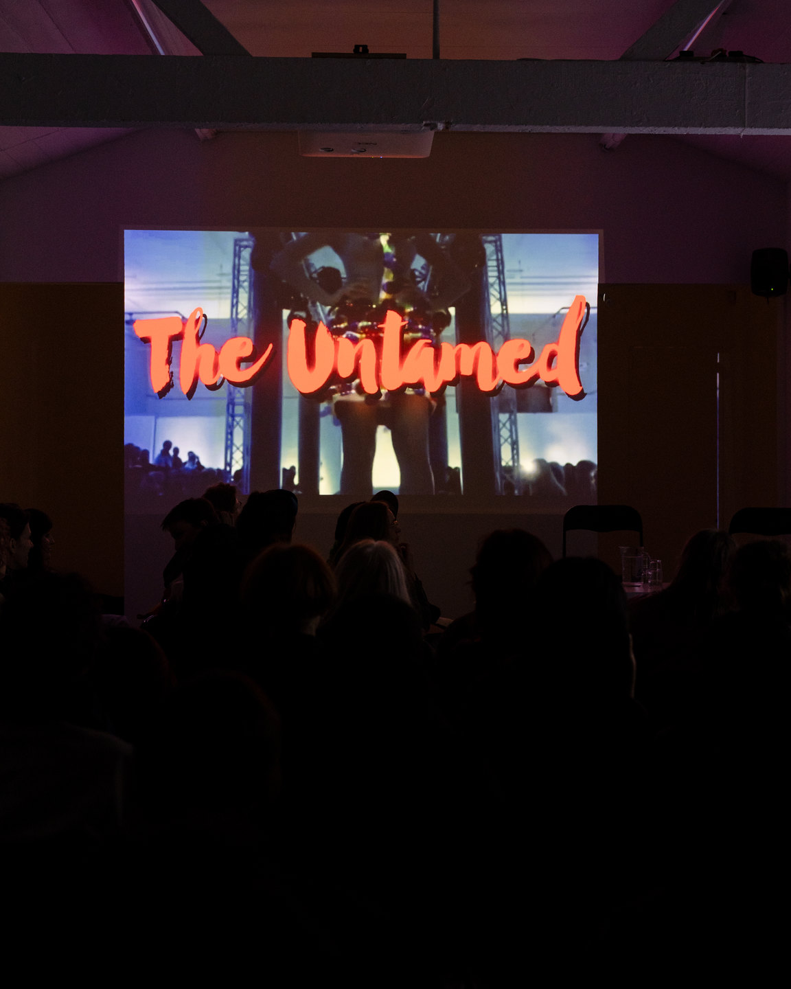 'The Untamed' archival film intro to 'Untamed Fashion Assemblies' courtesy Bruno Birmanis, Cell Project Space 2025