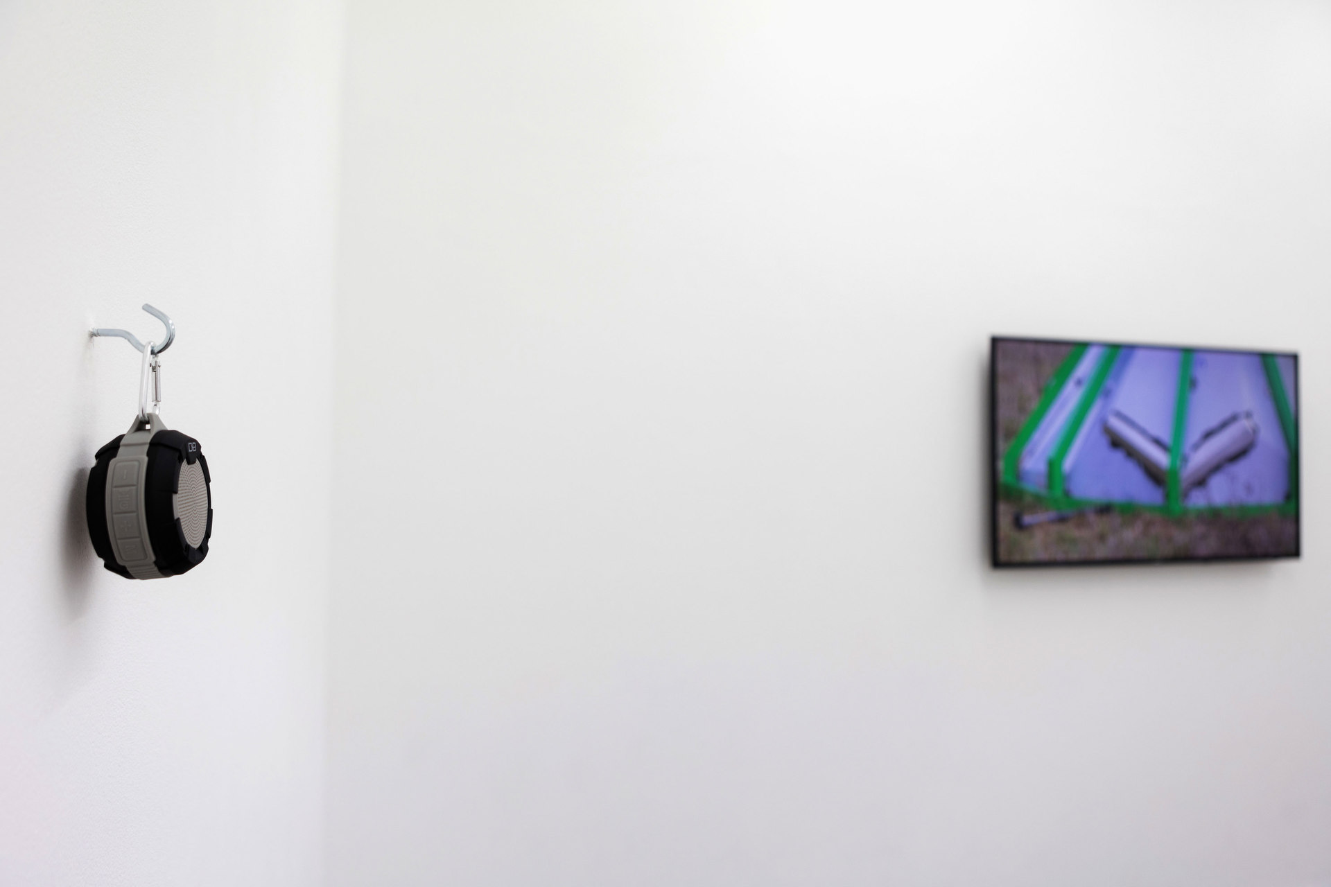 Intracrine Signal Aggregate 2016 Iain Ball Cell Project Space