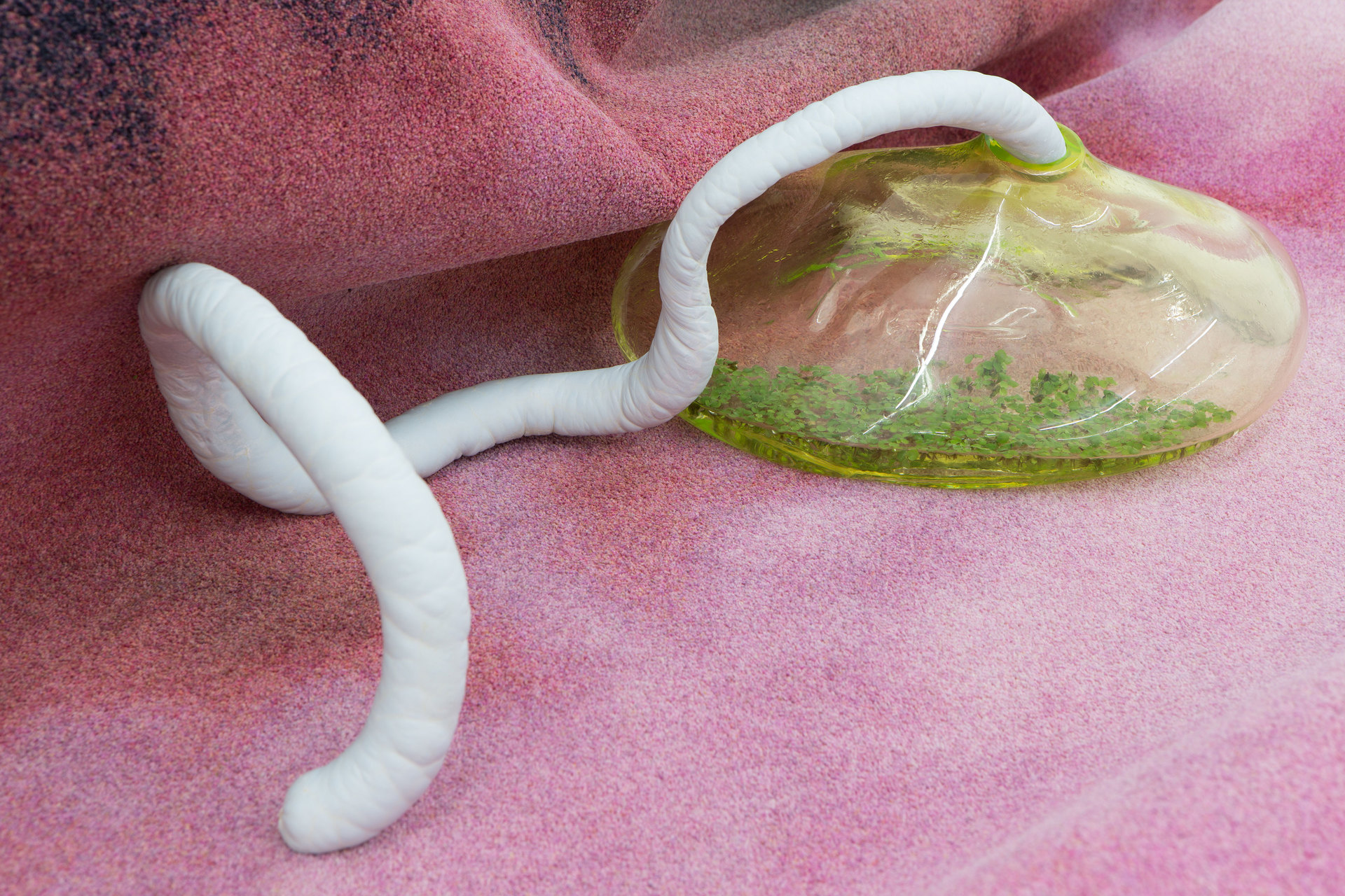 Julia Crabtree & William Evans, Marginalia, 2017 (Detail), Cell Project Space Julia Crabtree & William Evans, Marginalia, 2017 (Detail), Cell Project Space