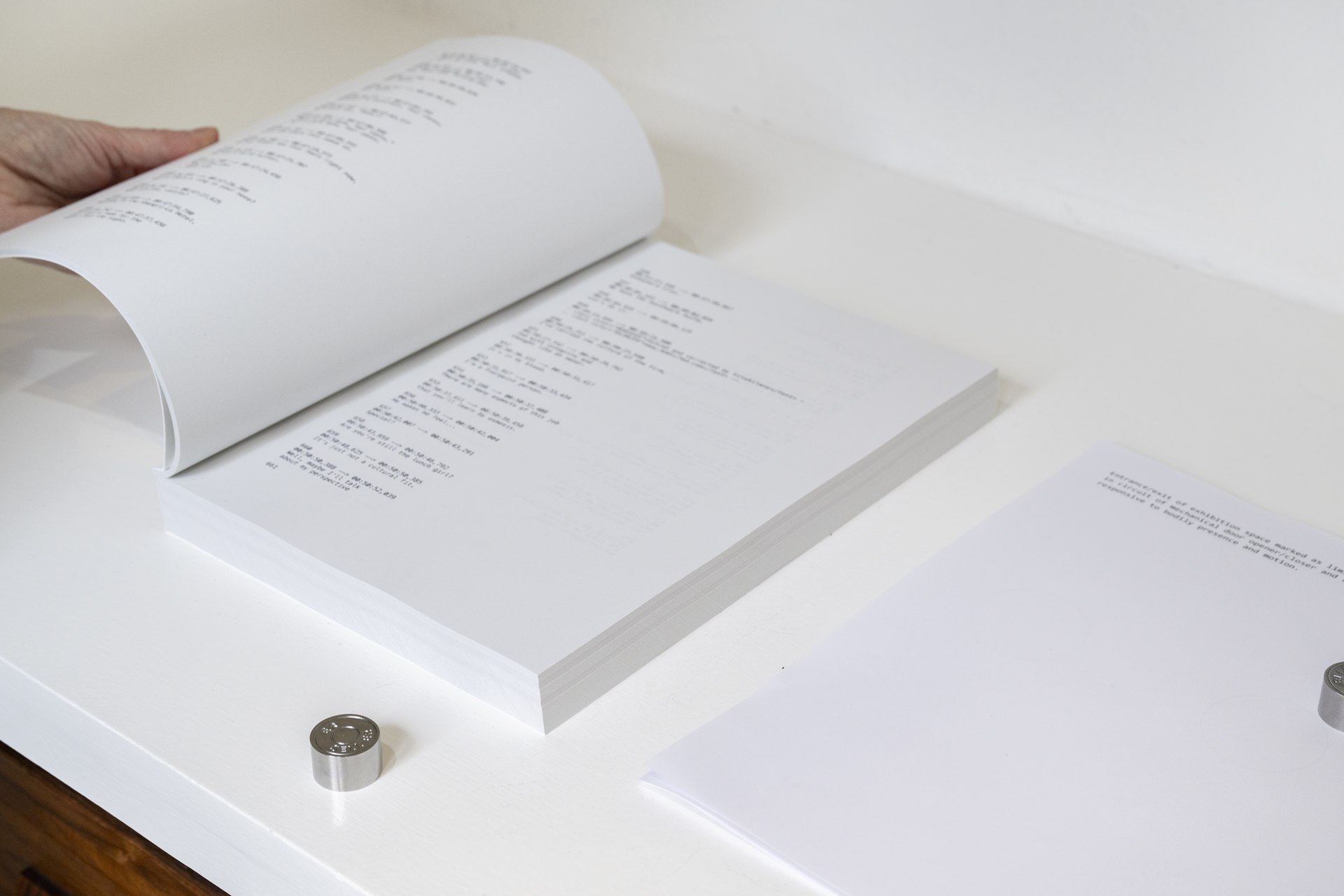 Tanja Widmann Johannes Porsch Produced by, -1, One plus (Proposal), 2025, 29.7 x 21 cm, and -1, One plus (Derivates), 2025, Ø 2.4 x 1.5 cm, Cell Project Space, 2025