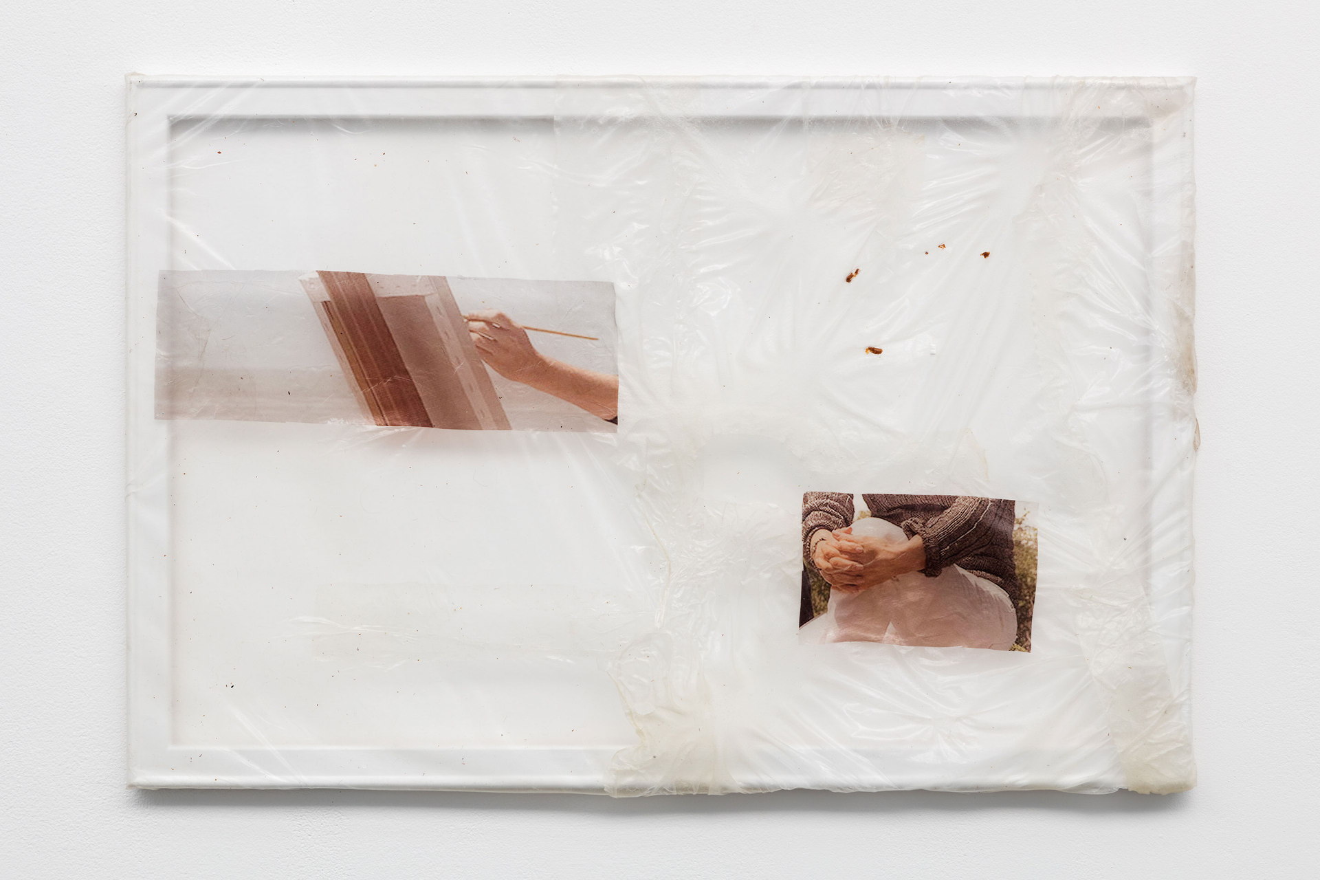 Aude Pariset, GREENHOUSES, 'Green Nuclear Family no 2', Bioplastic, UV print on bioplastic, mealworm skin, Lexomil, wood, paint, 60 x 90cm, 2016, Cell Project Space