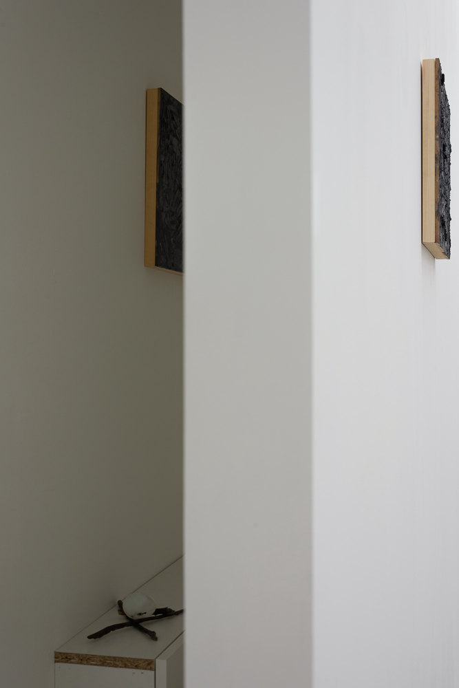 Exhibition view, Ksenia Pedan, Reversion, Cell Project Space, 2023 Exhibition view, Ksenia Pedan, Reversion, Cell Project Space, 2023