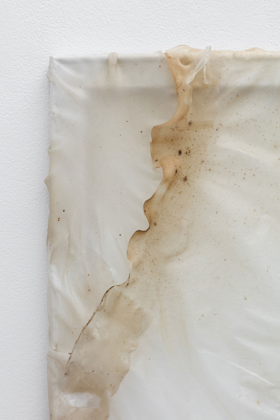 Aude Pariset, GREENHOUSES, 'Ménage Garbage Patch 2' [detail], Bioplastic, mold, wood, paint, 55 x 110cm, 2016, Cell Project Space