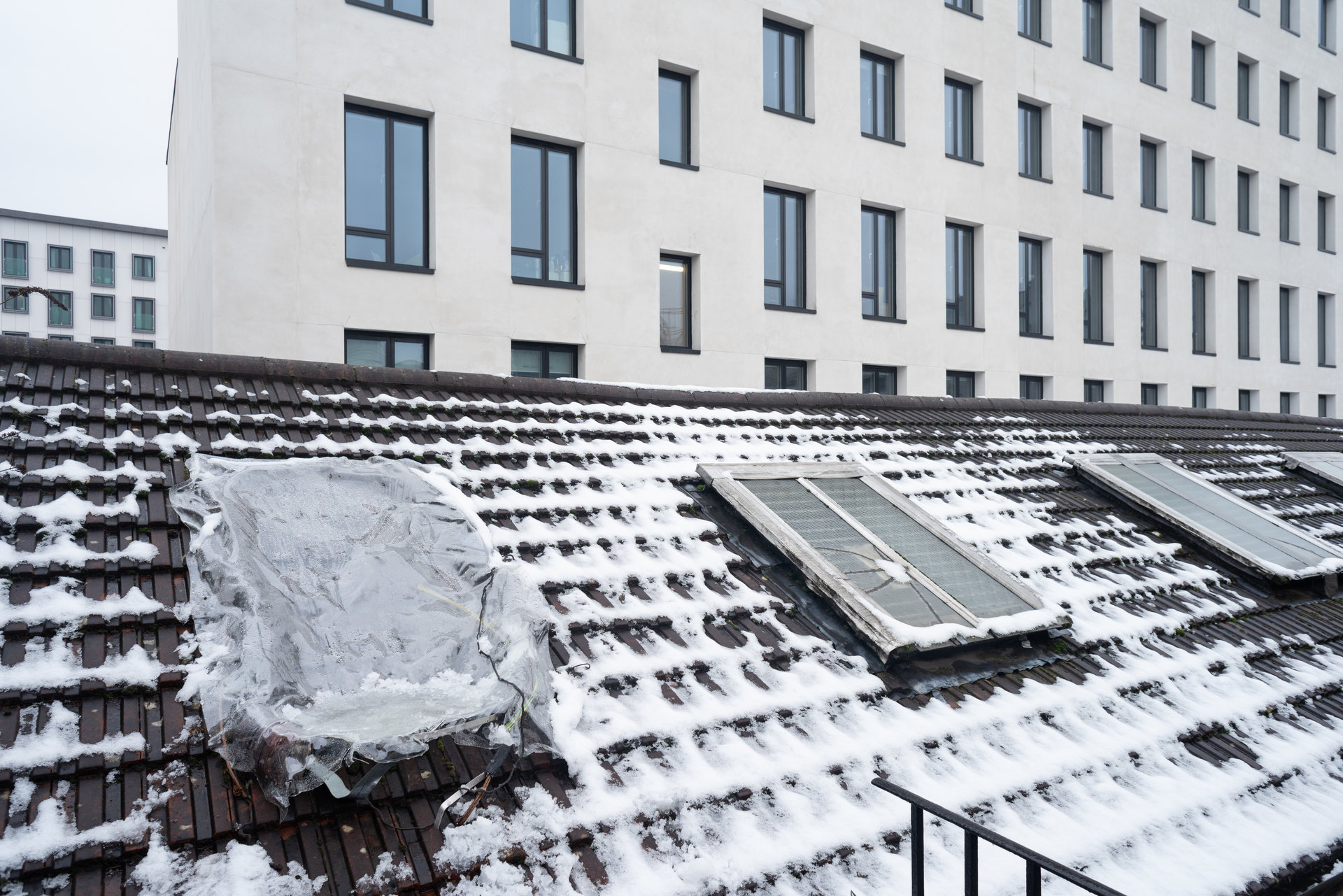 Anastasia Sosunova, 'Express Method', Cell Project Space 2022 Anastasia Sosunova, 'Express Method', Cell Project Space 2022