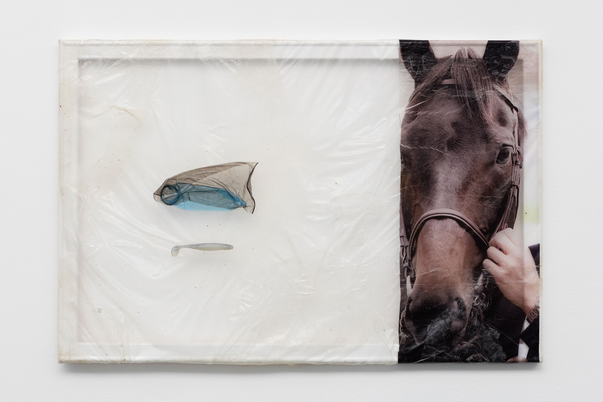 Aude Pariset, GREENHOUSES, 'Stallion Dad', Bioplastic, UV print on bioplastic, condoms, fish bait, wood, paint, 60 x 90cm, 2016, Cell Project Space