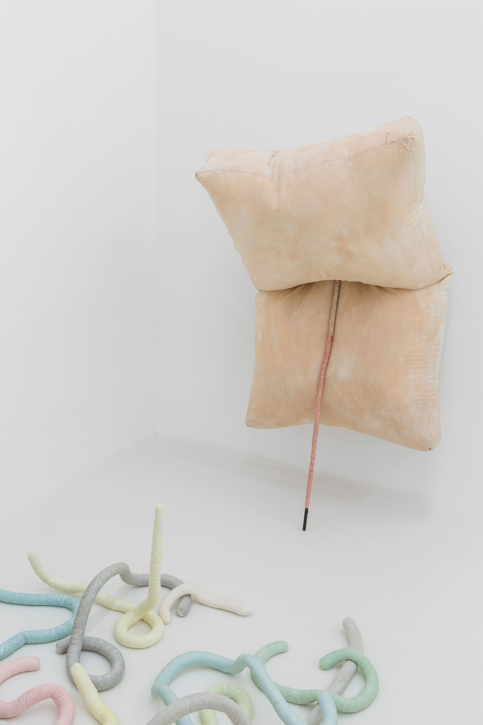 Julia Crabtree & William Evans, Rod, 2016, Cell Project Space Julia Crabtree & William Evans, Rod, 2016, Cell Project Space