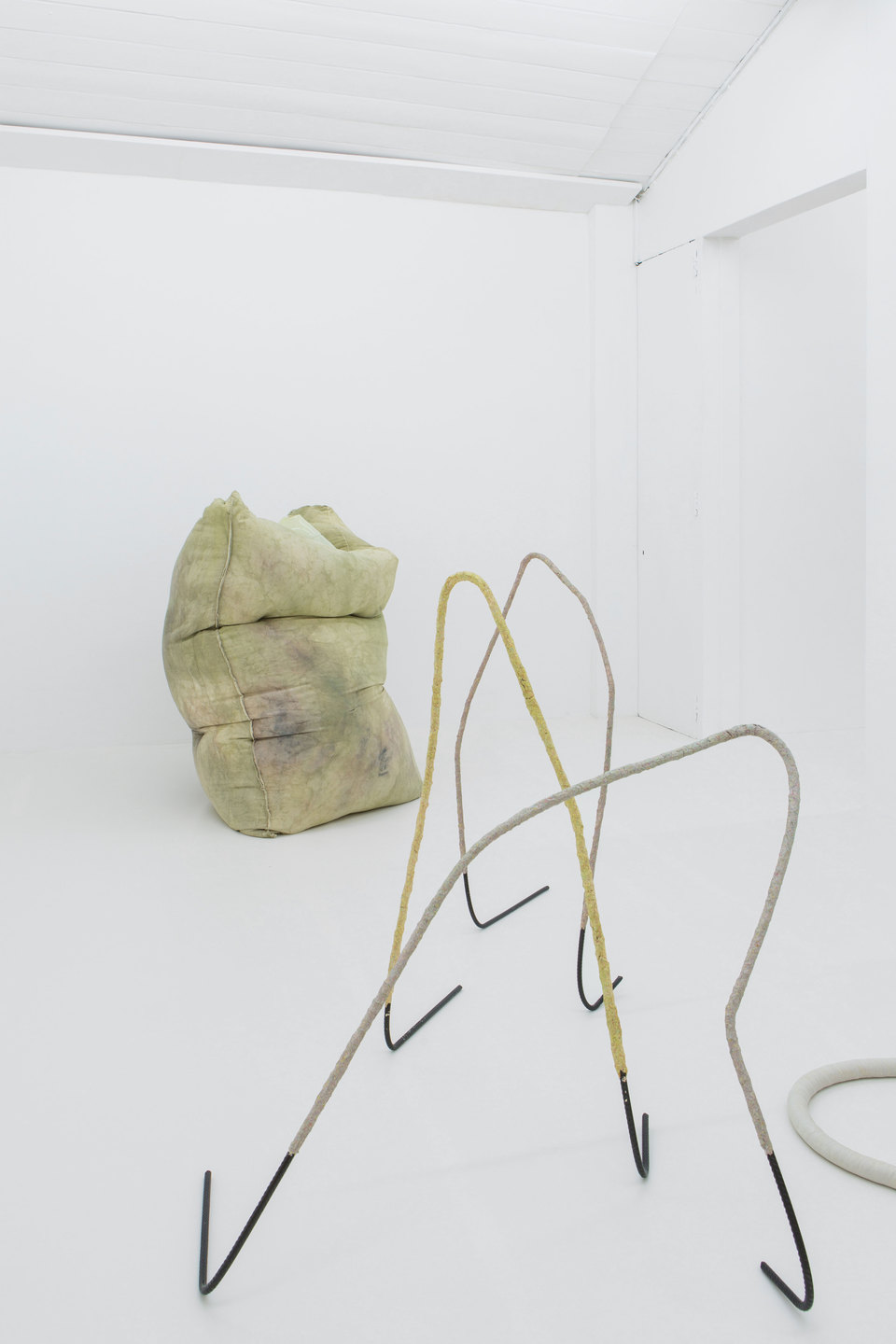 Julia Crabtree & William Evans, Gullet, 2017, Installation View, Cell Project Space Julia Crabtree & William Evans, Gullet, 2017, Installation View, Cell Project Space