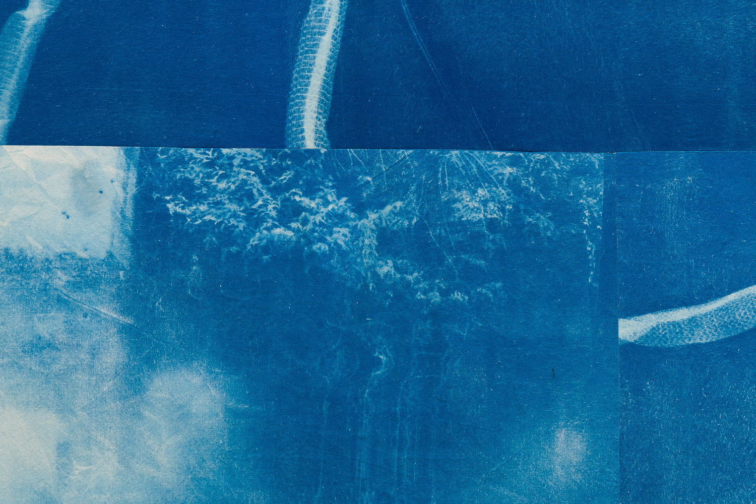 Felix Melia, Detail  'High Tide', from 'Stages', 2022, cyanotype print on cotton