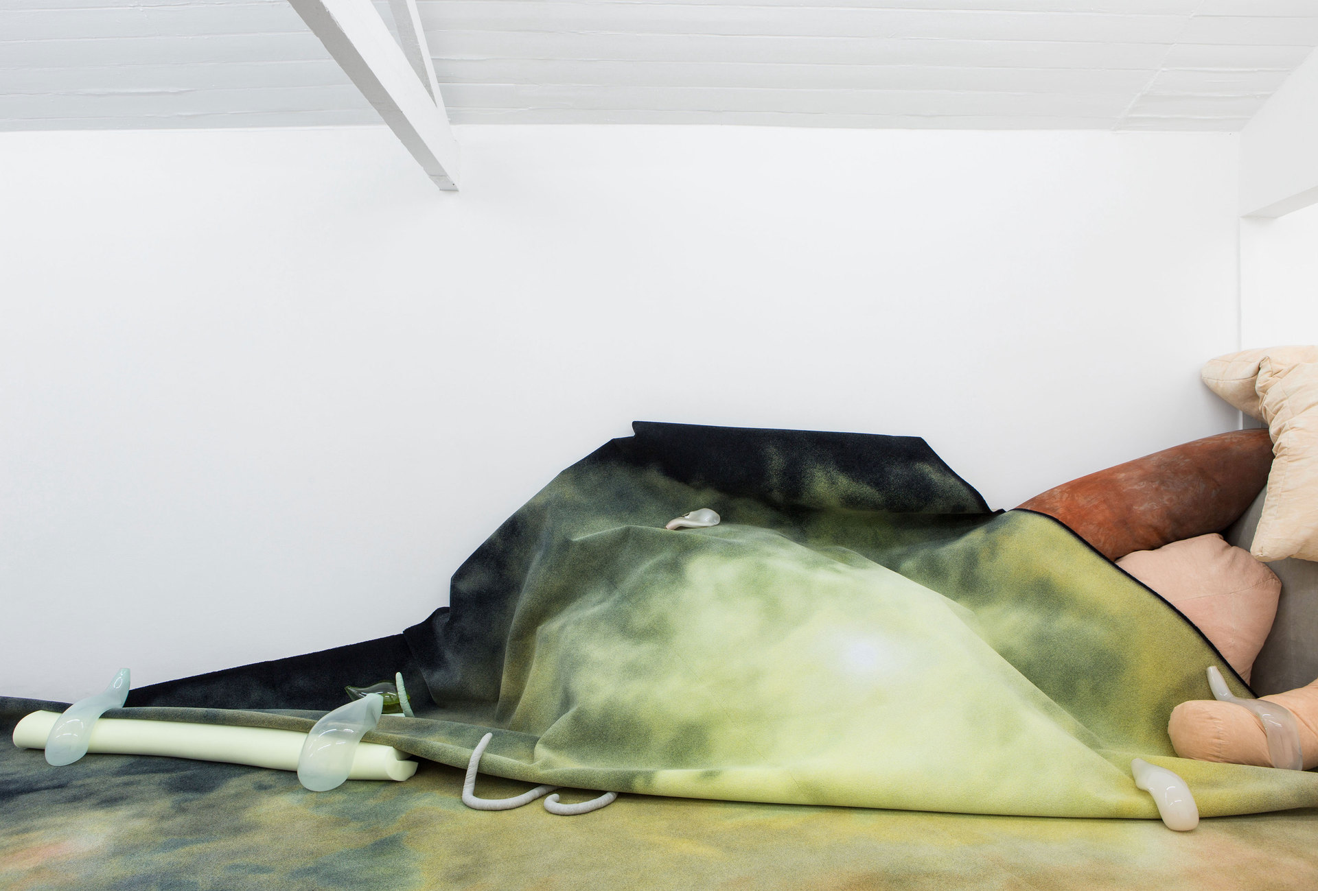 Julia Crabtree & William Evans, Gullet, 2017, Installation View, Cell Project Space Julia Crabtree & William Evans, Gullet, 2017, Installation View, Cell Project Space