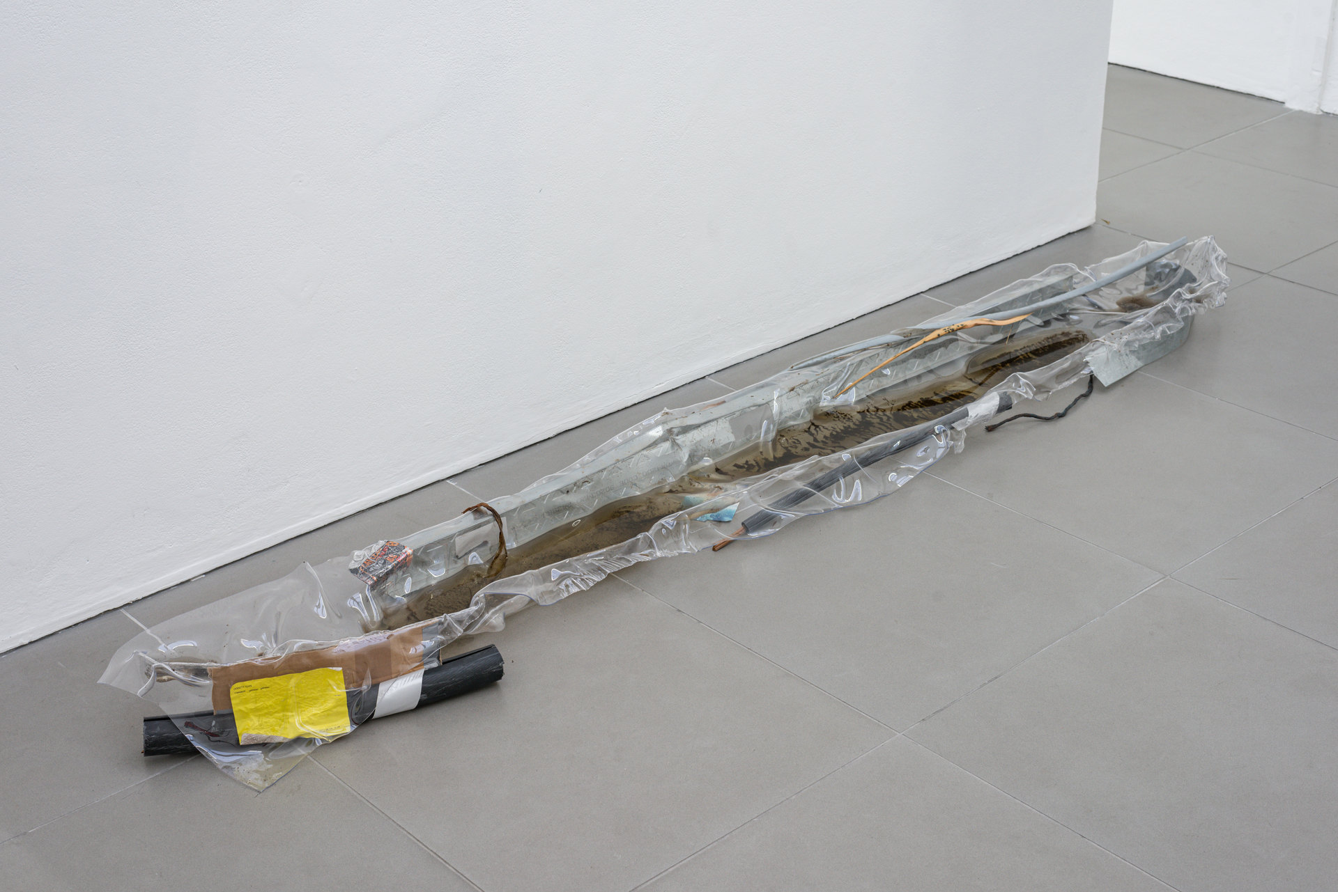 Anastasia Sosunova, 'Express Method', Cell Project Space 2022