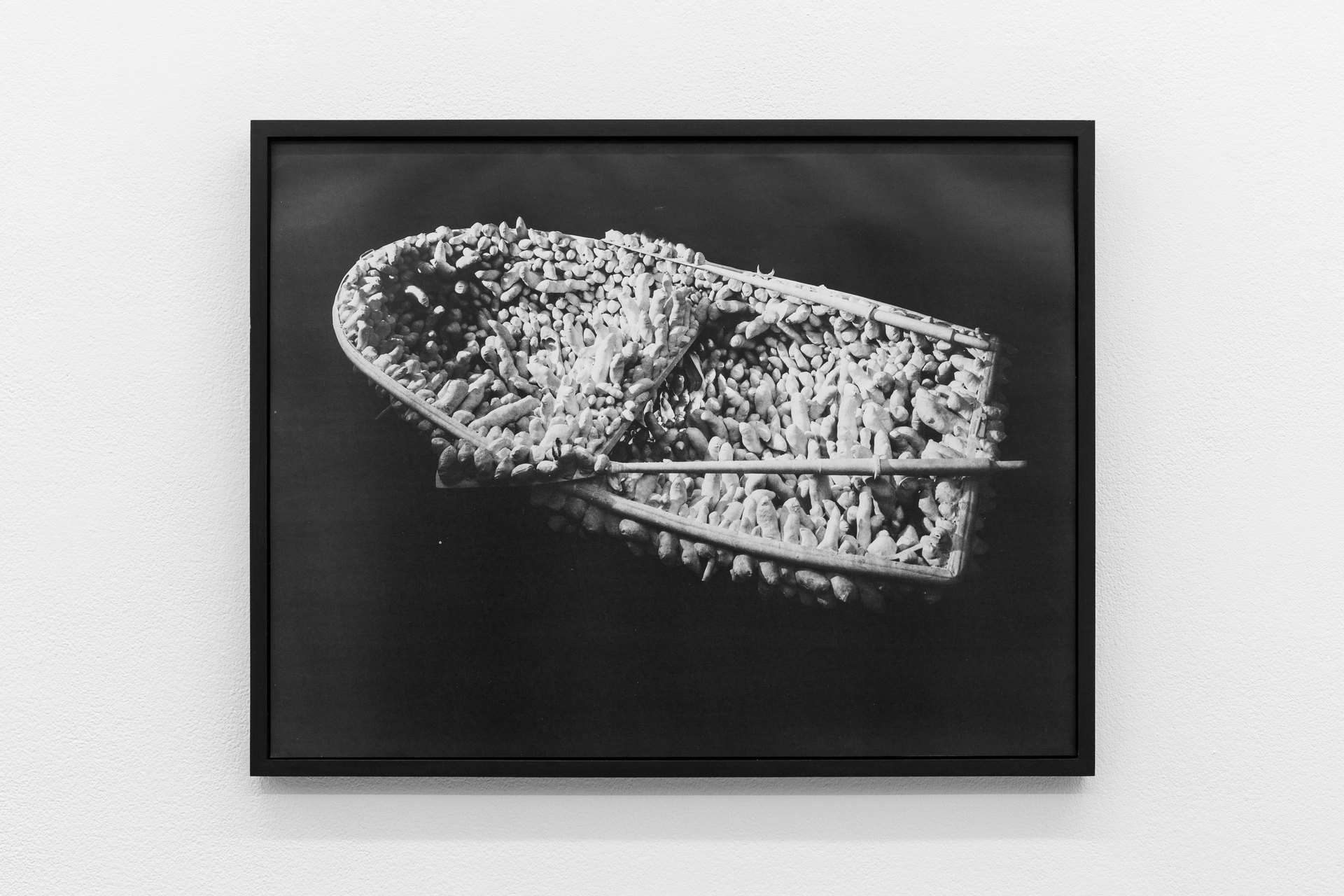 Yayoi Kusama, 'Aggregation Boat Show', c. 1962, Shit and Doom - NO!art, 2019 Yayoi Kusama, 'Aggregation Boat Show', c. 1962, Framed print, 43.2 x 56.4cm, Shit and Doom - NO!art, 2019, Cell Project Space
