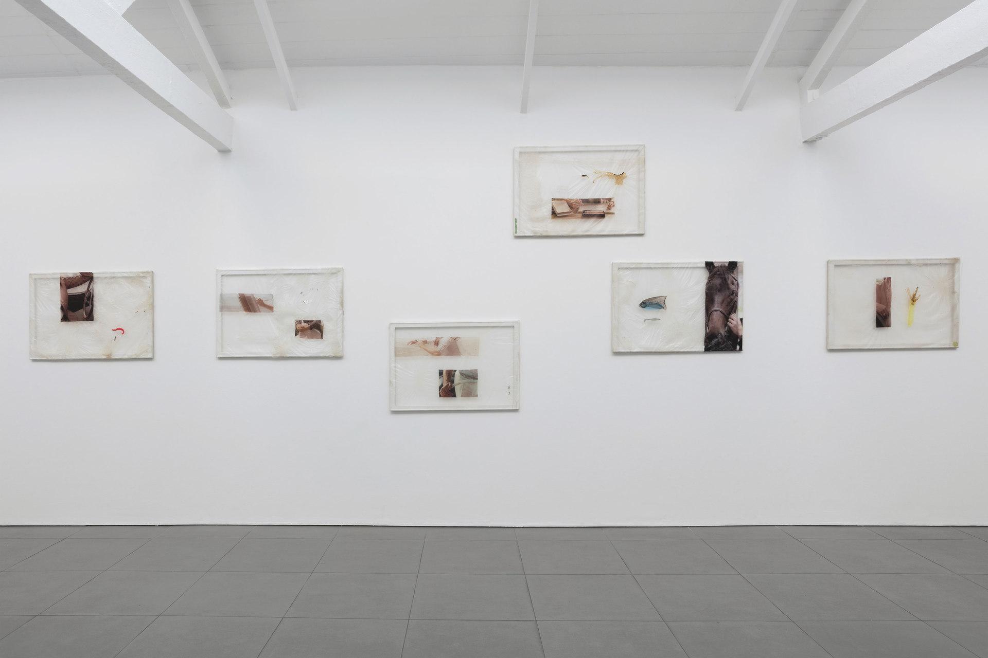 Aude Pariset, GREENHOUSES, installation view, 2016, Cell Project Space