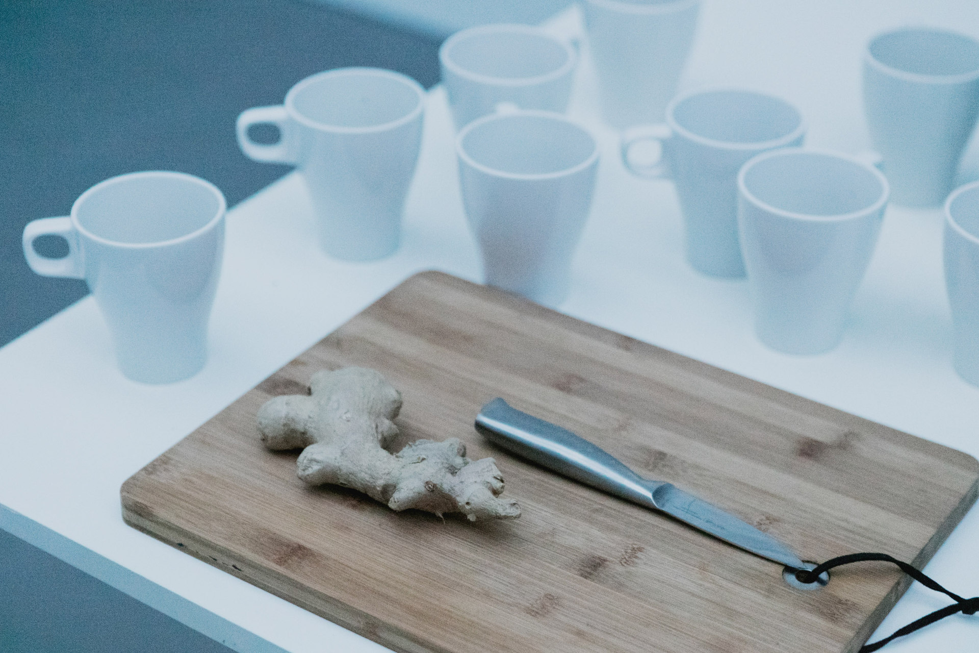 Sarah Boulton, Take Away Dove, 2016, Cell Project Space