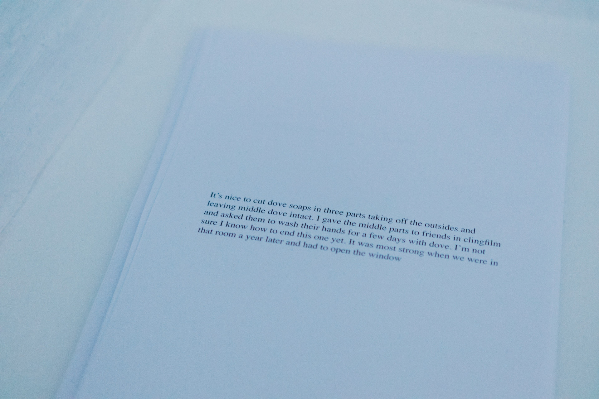 Sarah Boulton, Take Away Dove, 2016, Cell Project Space