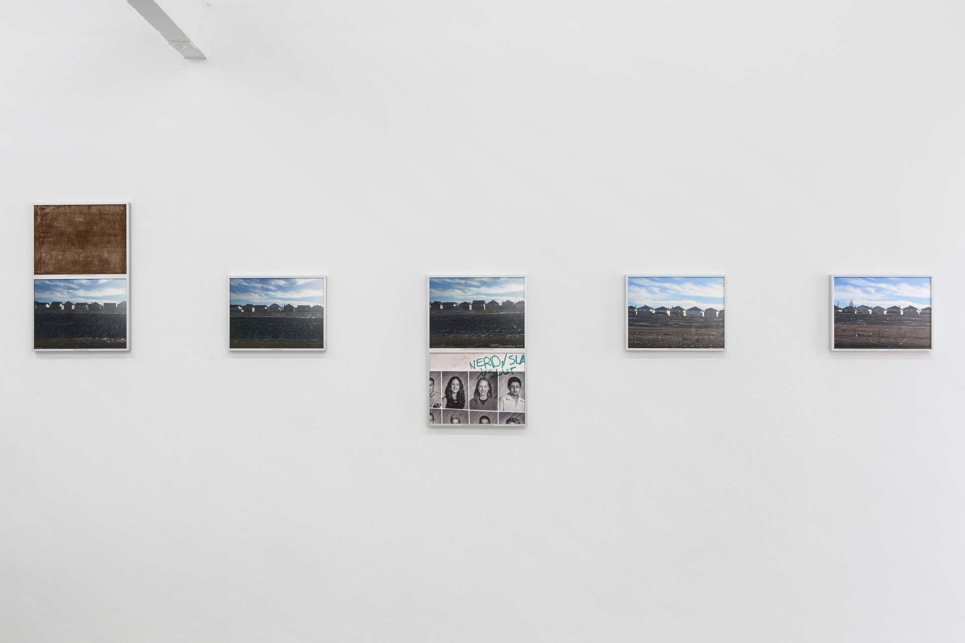 Rosa Aiello, 'Progression (Harvest Hills – Coventry Hills)', 2019, Digital print, photo rag paper, acetate film, glue, upholstery fabric, aluminium frames Series of 11, 31.2 x 41.2cm, or 62.4 x 41.2cm each, Cell Project Space