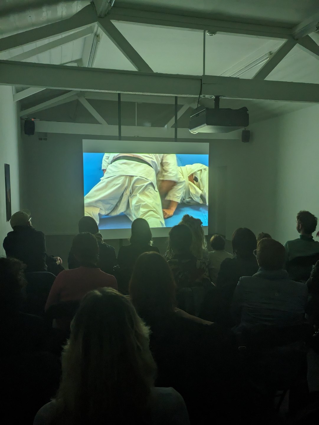 Max Göran, Film Screening, 2024