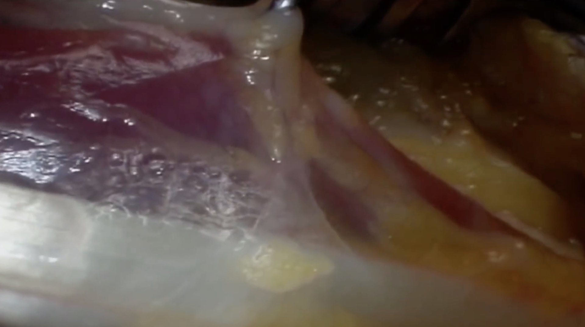 Nina Cristante, Still, The Richest Man in Babylon, 2024, Cell Project Space