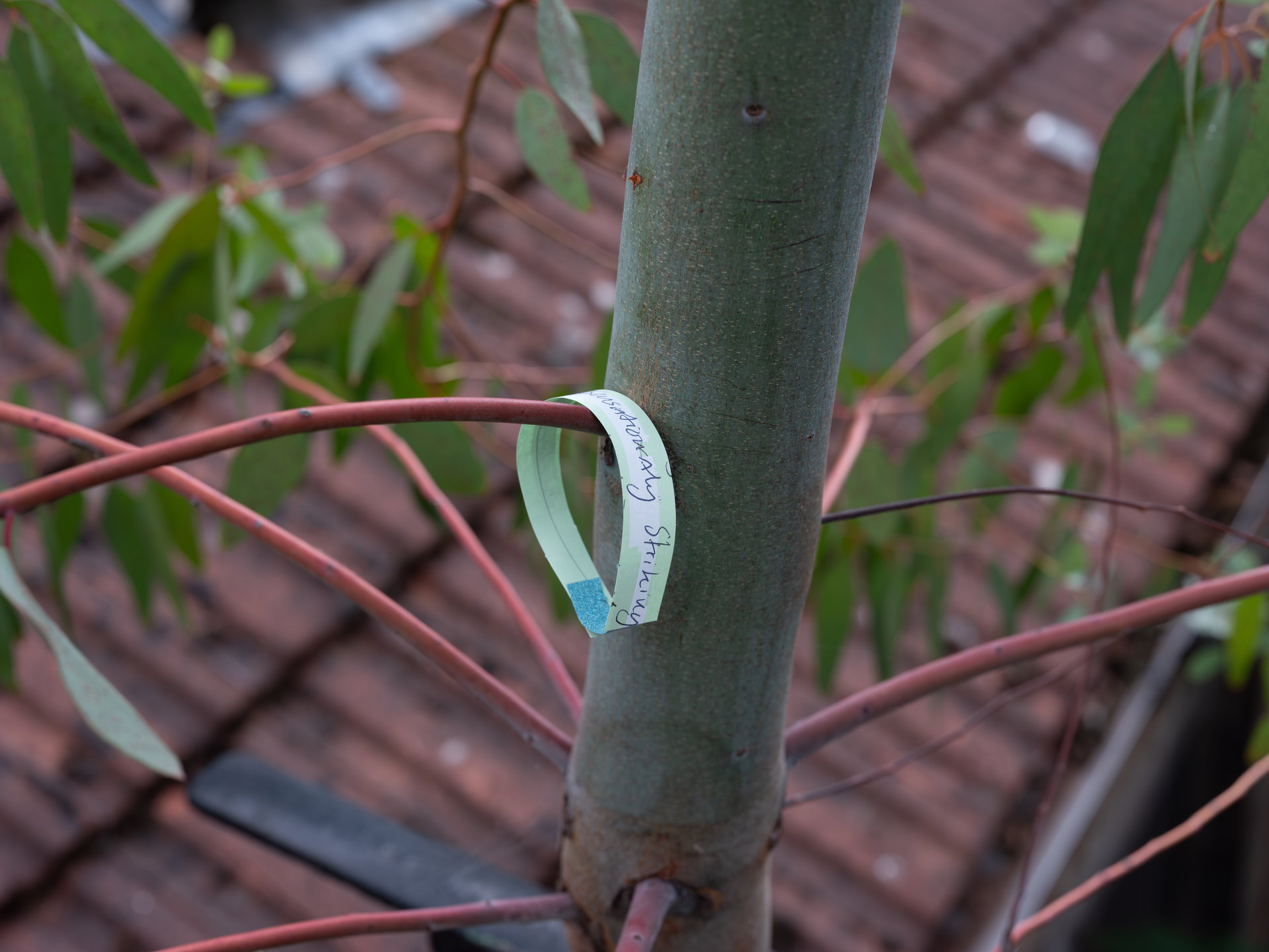 Goldsmiths Art Writing Group Workshop, Cell Project Space, 2025