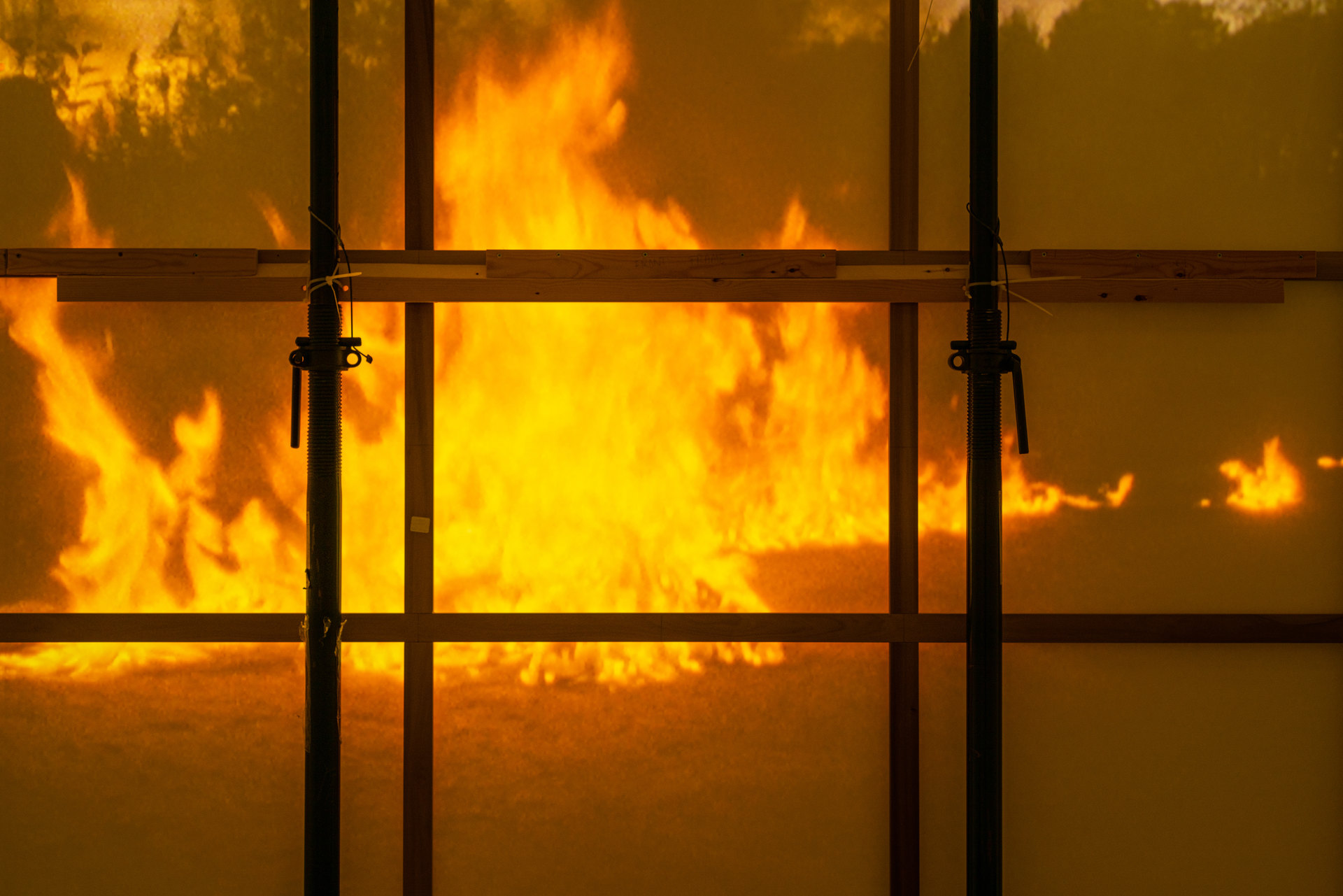 Max Göran, Dieseline Dreams, Detail, 2023, 16mm transferred to digital video, 16:57, single-channel video installation