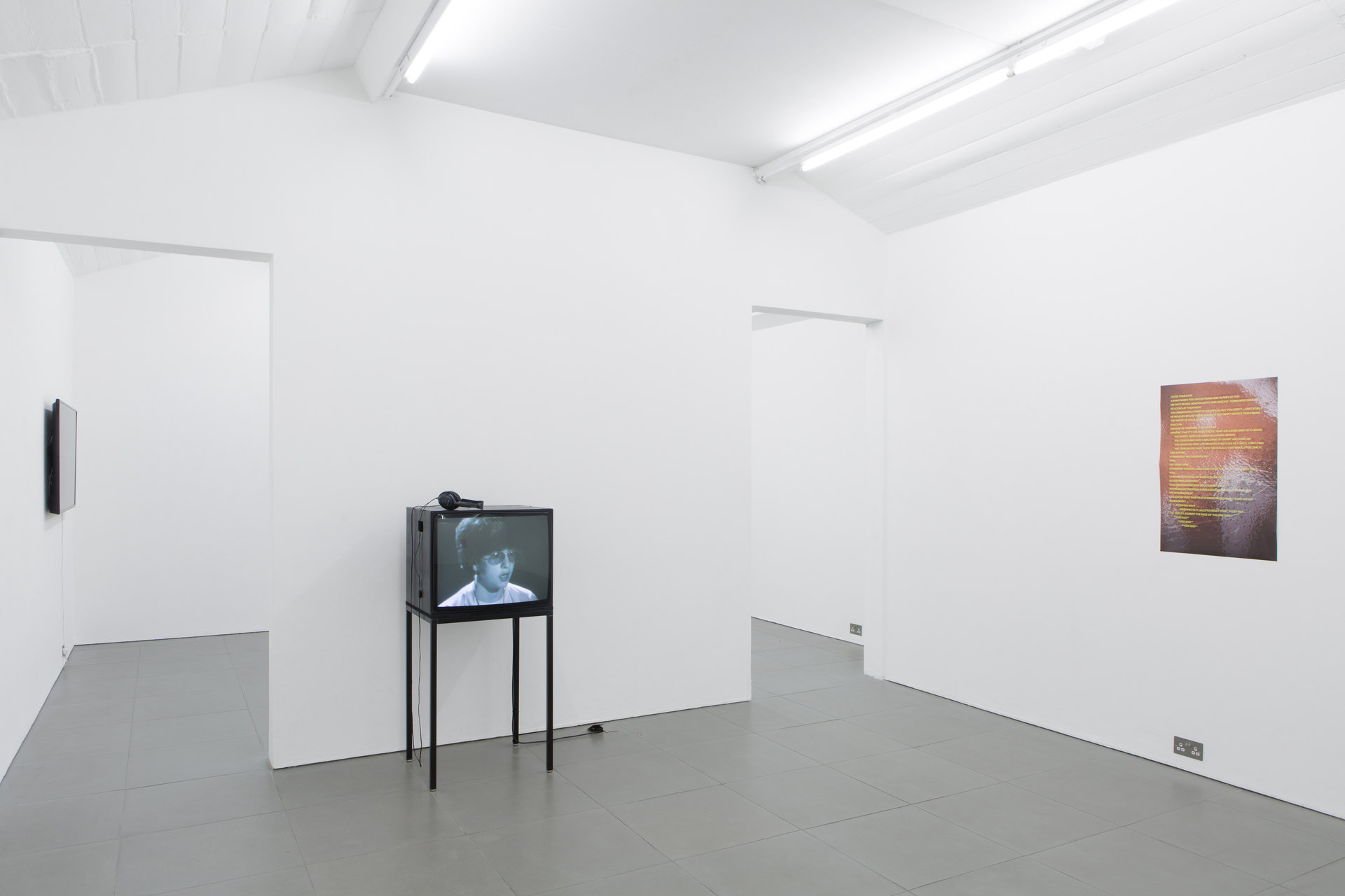 Perverts, installation view, 2017 Perverts, installation view, 2017, Cell Project Space