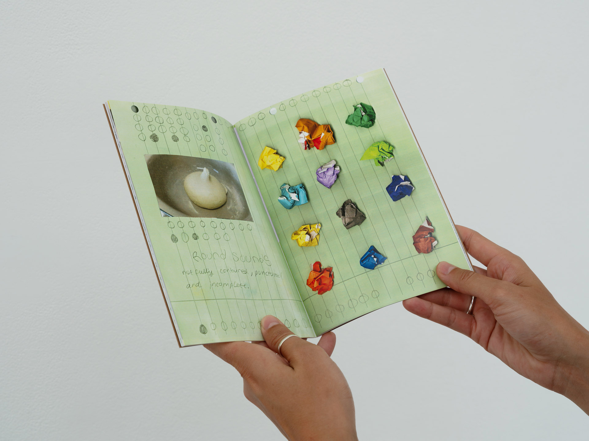 'A Finely Tuned Battery of Senses' publication documentation
