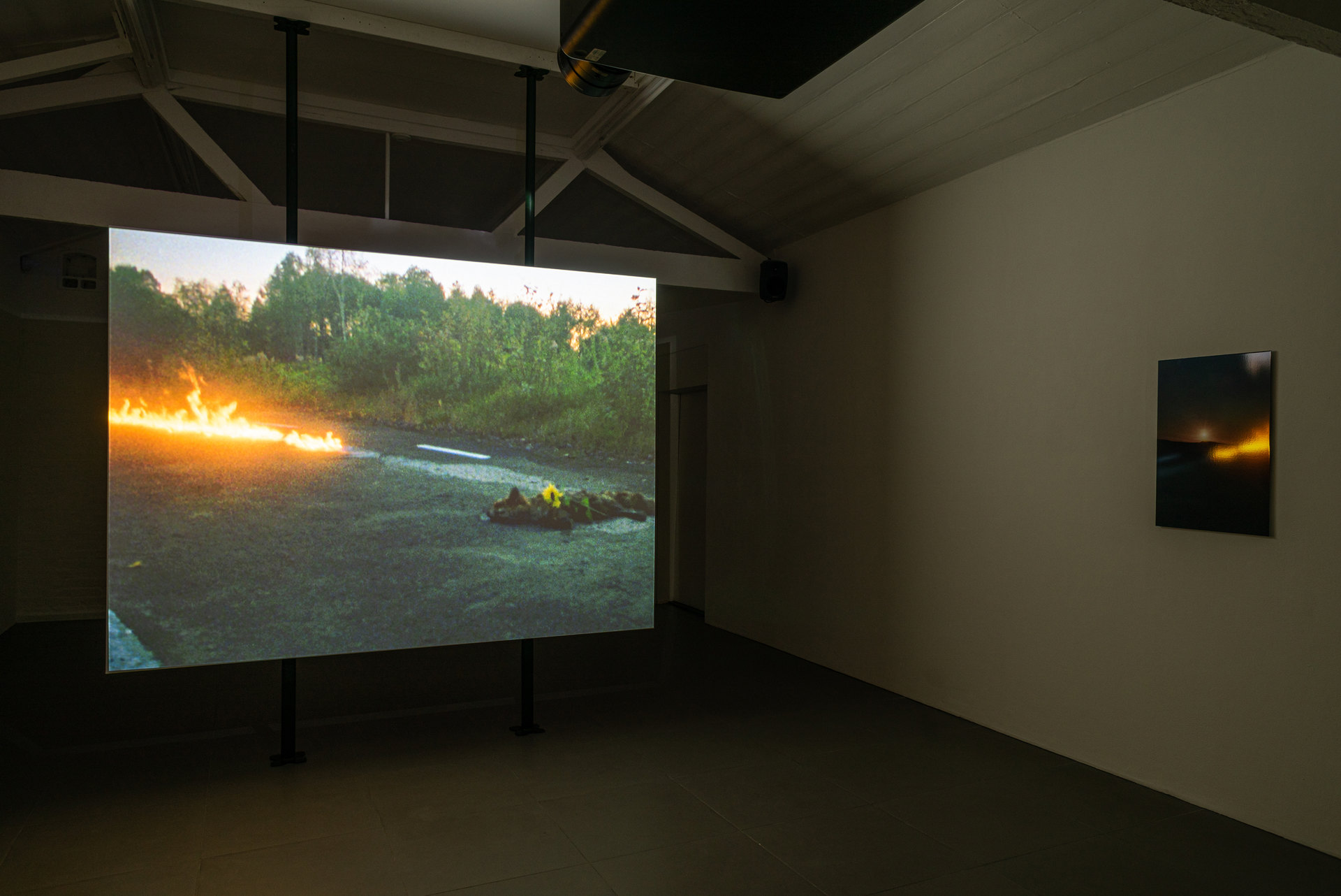 Max Göran, Exhibition view, brave and pathetic is better than drowning in shame, 2023, Josefin Arnell, Max Göran, Cell Project Space, 2023