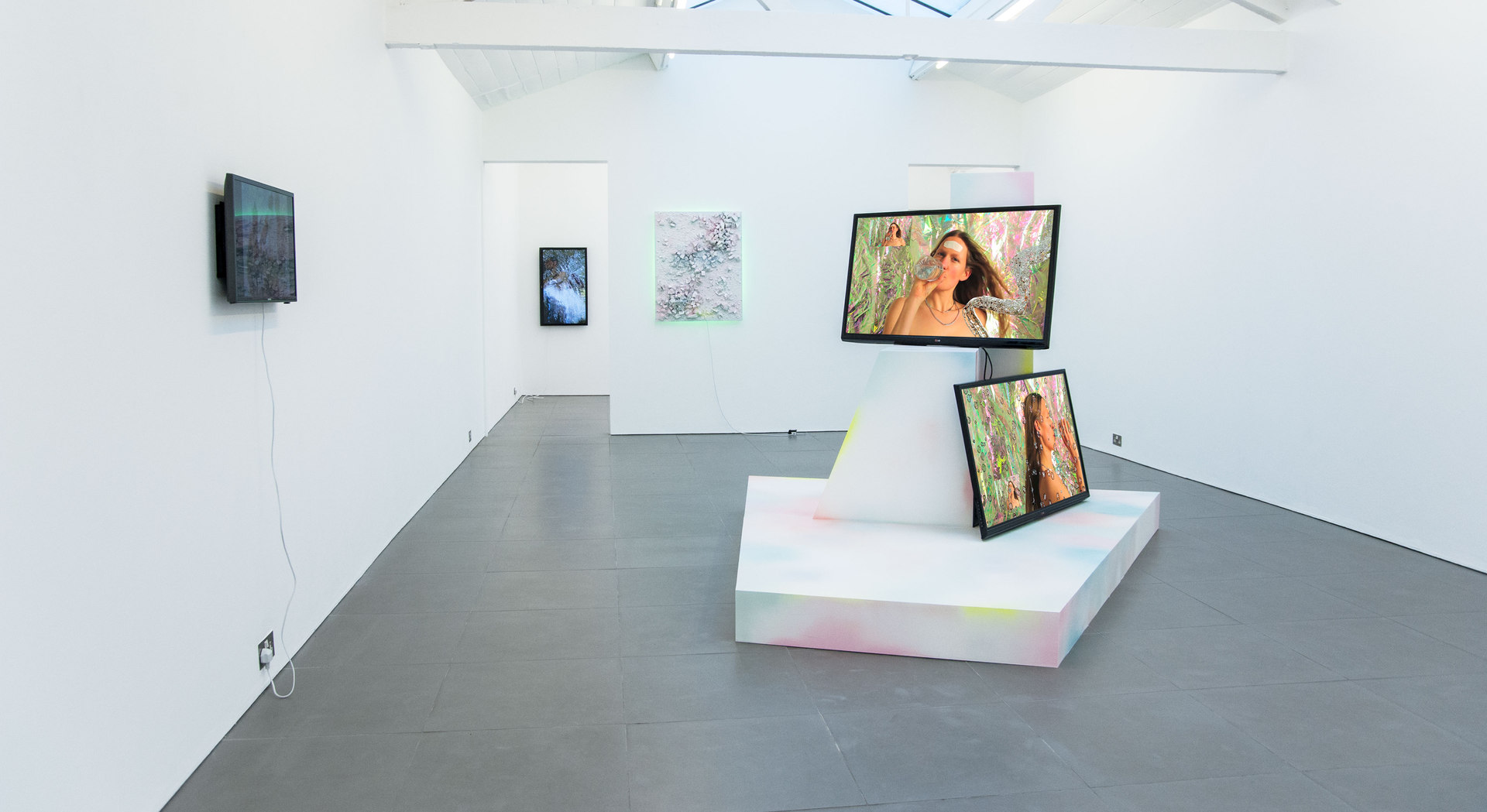 Adham Faramawy, HYDRA installation view, Cell Project Space, 2014