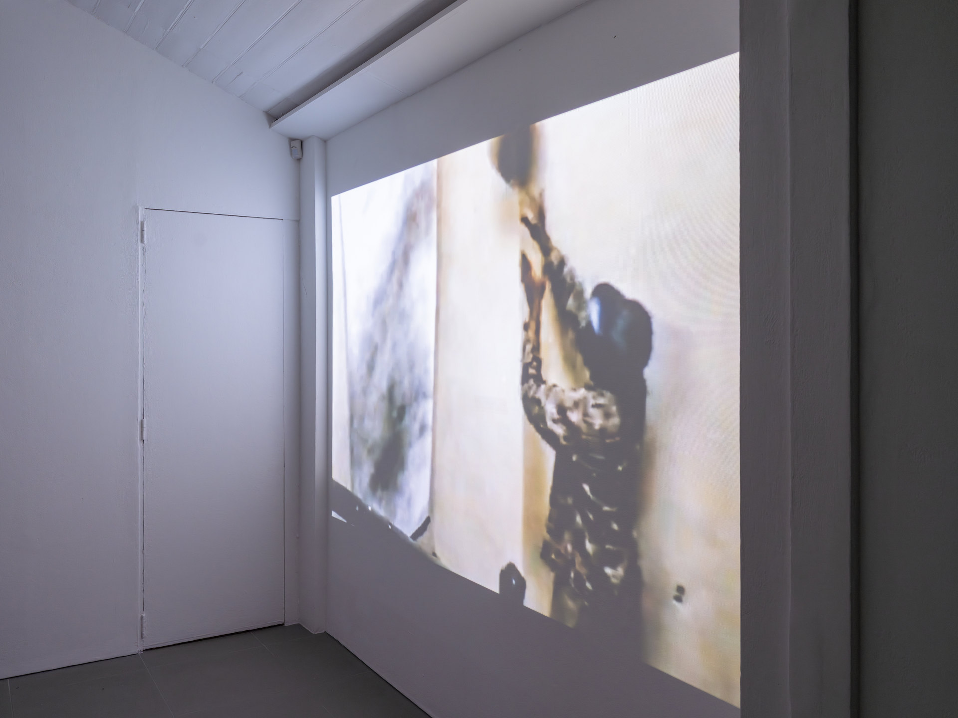 Installation documentation of Alex Harsley’s ‘Photodirect’ screening, 2026