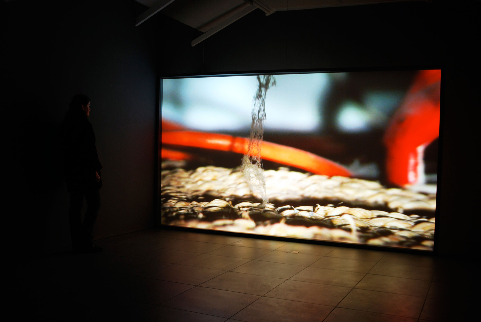 Emma Hart, JAM, 'LOST', 2009-2011, digital projection, Cell Project Space