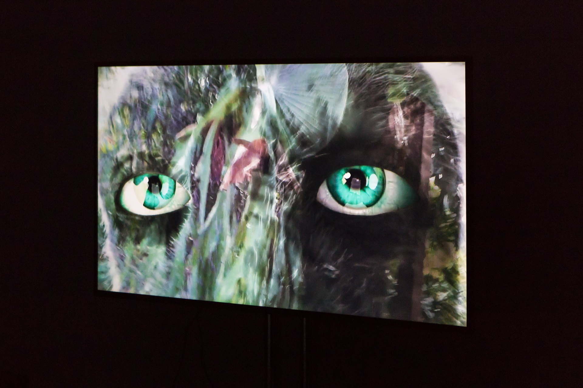 Natalie Price Hafslund & Laura O’Neill, Performance have no mouth and i must scream, Cell Project Space, 2017