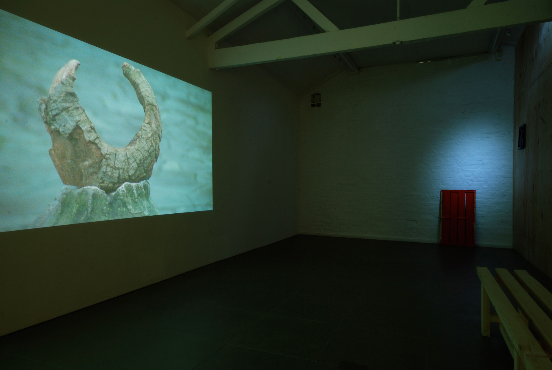 Jessica Warboys, Victory Park Tree Painting, 'Trilogy', 2010-2011, Super 16mm film transfer to digital, Cell Project Space