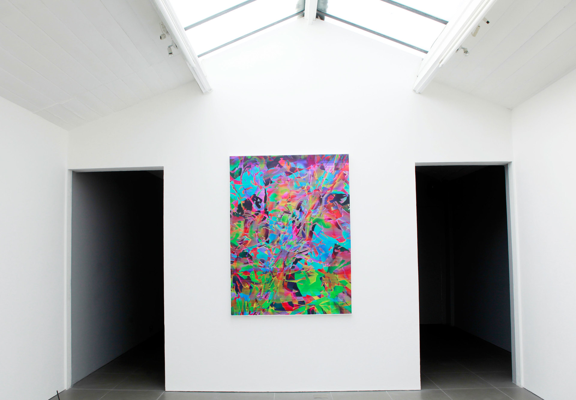 Travess Smalley, Alta Dark, 2012, 173 x 140 cm, Digital print on silk, Cell Project Space