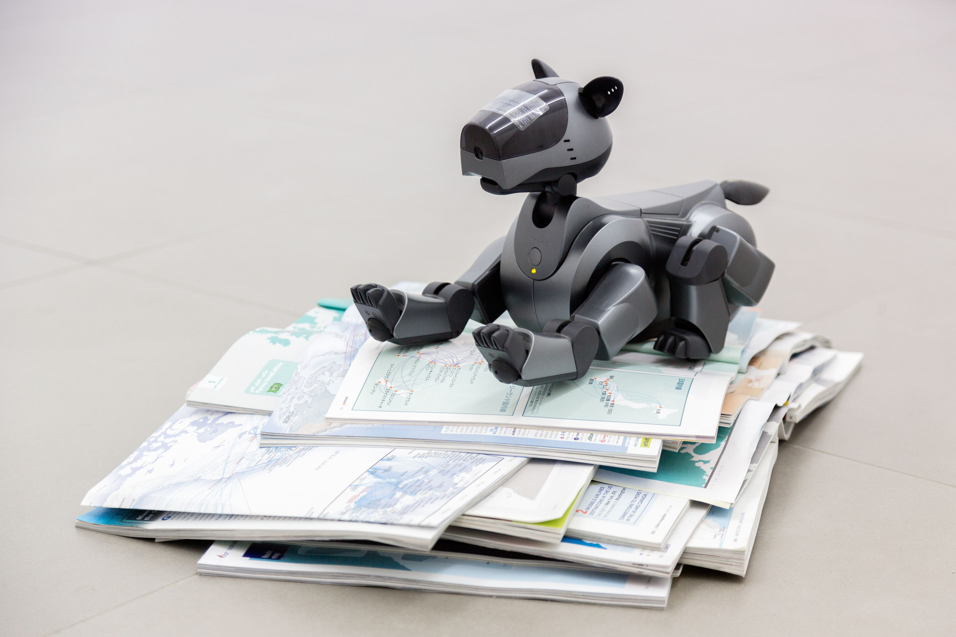 Yuri Pattison, Free Traveller, 'Aibo overcoming modernity', 2014 (rear gallery), Cell Project Space