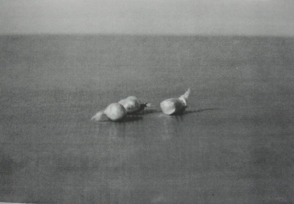 Keith Coventry, wrap ii, 2004