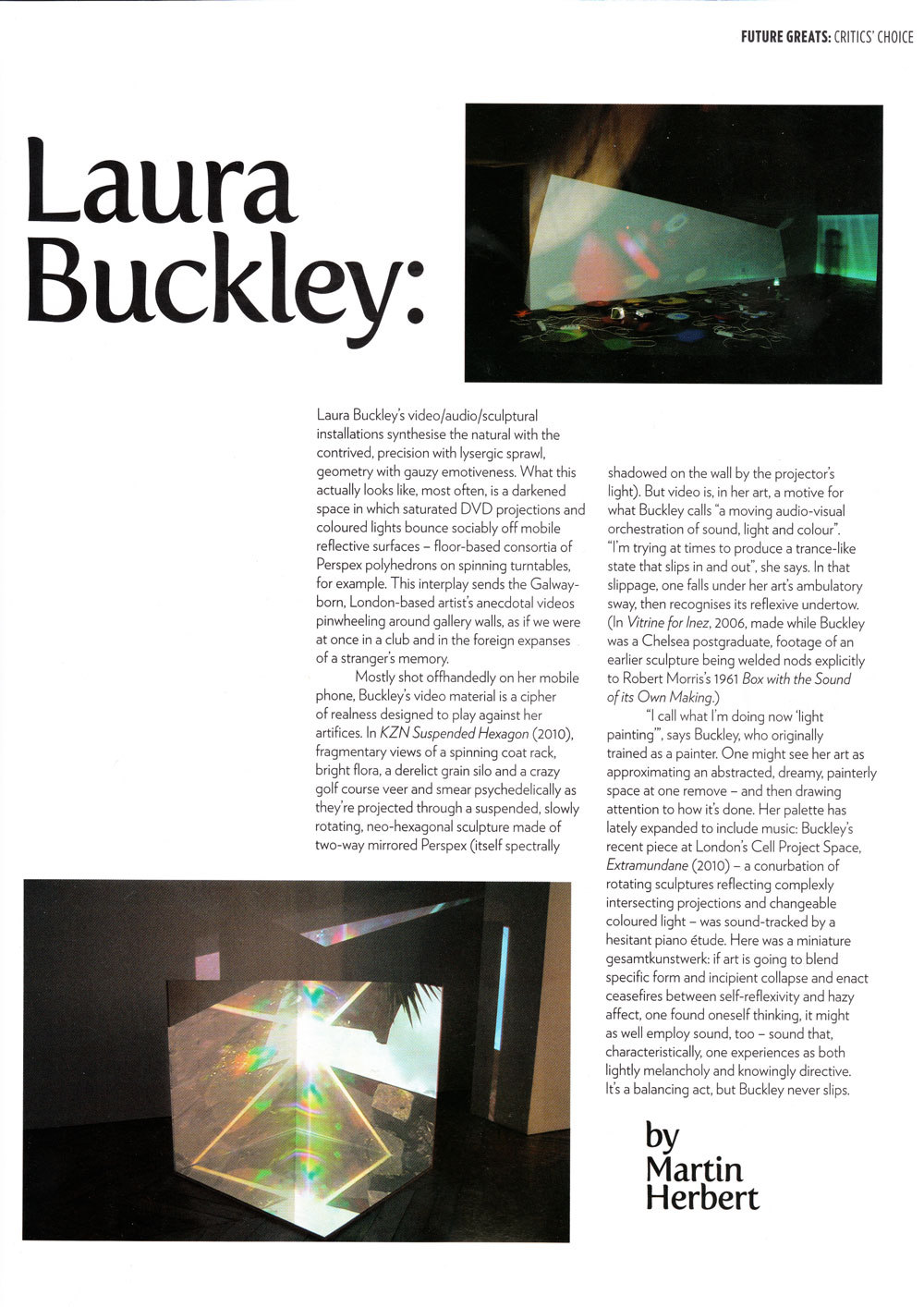 Laura Buckley, Future Greats, Martin Herbert, 2011, Art Review