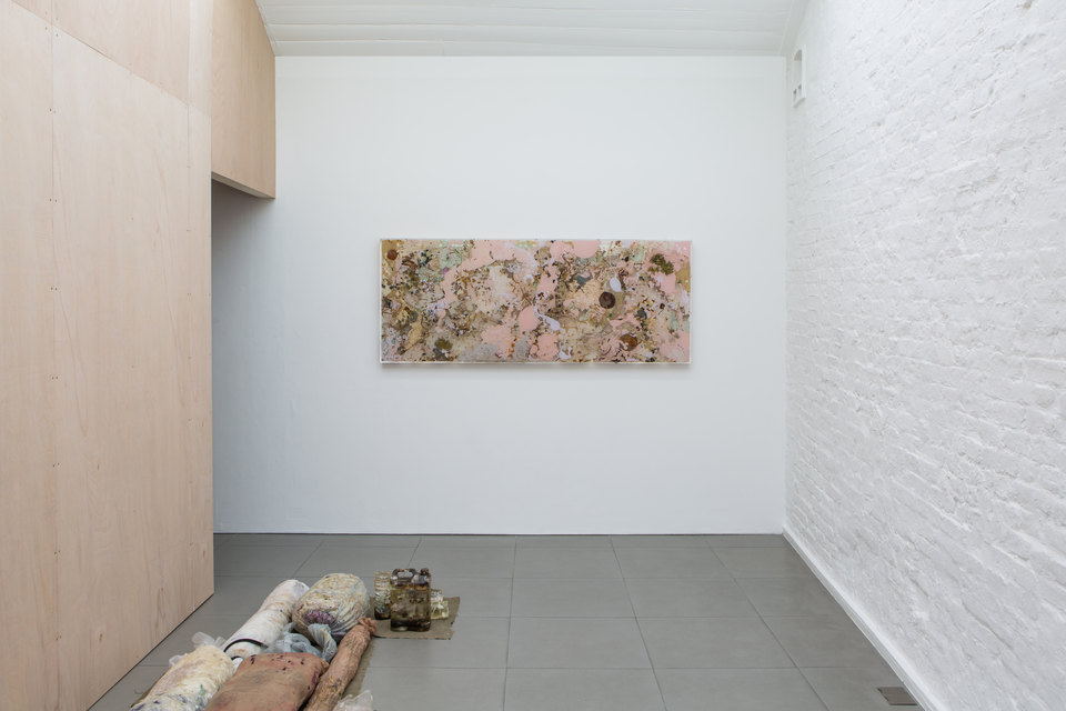 Pulsion Potion, Installation View, 2017, Cell Project Space