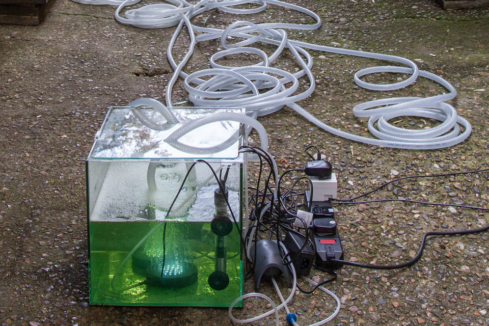 Daniel Keller, Onanet Spiruline 2, 2015 Daniel Keller, Onanet Spiruline 2, 2015, Living Spirulina algae, aqueous nutrient solution,nano cube glass aquariums, power plugs, heaters, air compressors, LED air stones, pumps, tubing, steel, Cell Project Space