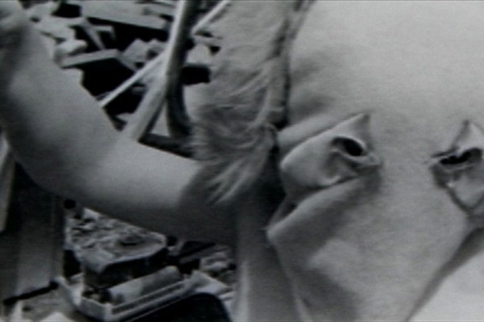 Film Still: Ben Rivers ‘Ah Liberty!’ 2008 Film Still: Ben Rivers ‘Ah Liberty!’ 2008 16mm Black & White Film 19mins, Wild Shapes, Cell Project Space