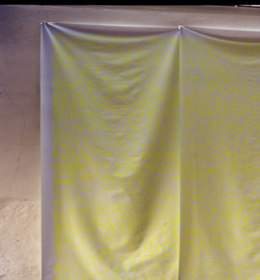 Fiona Banner